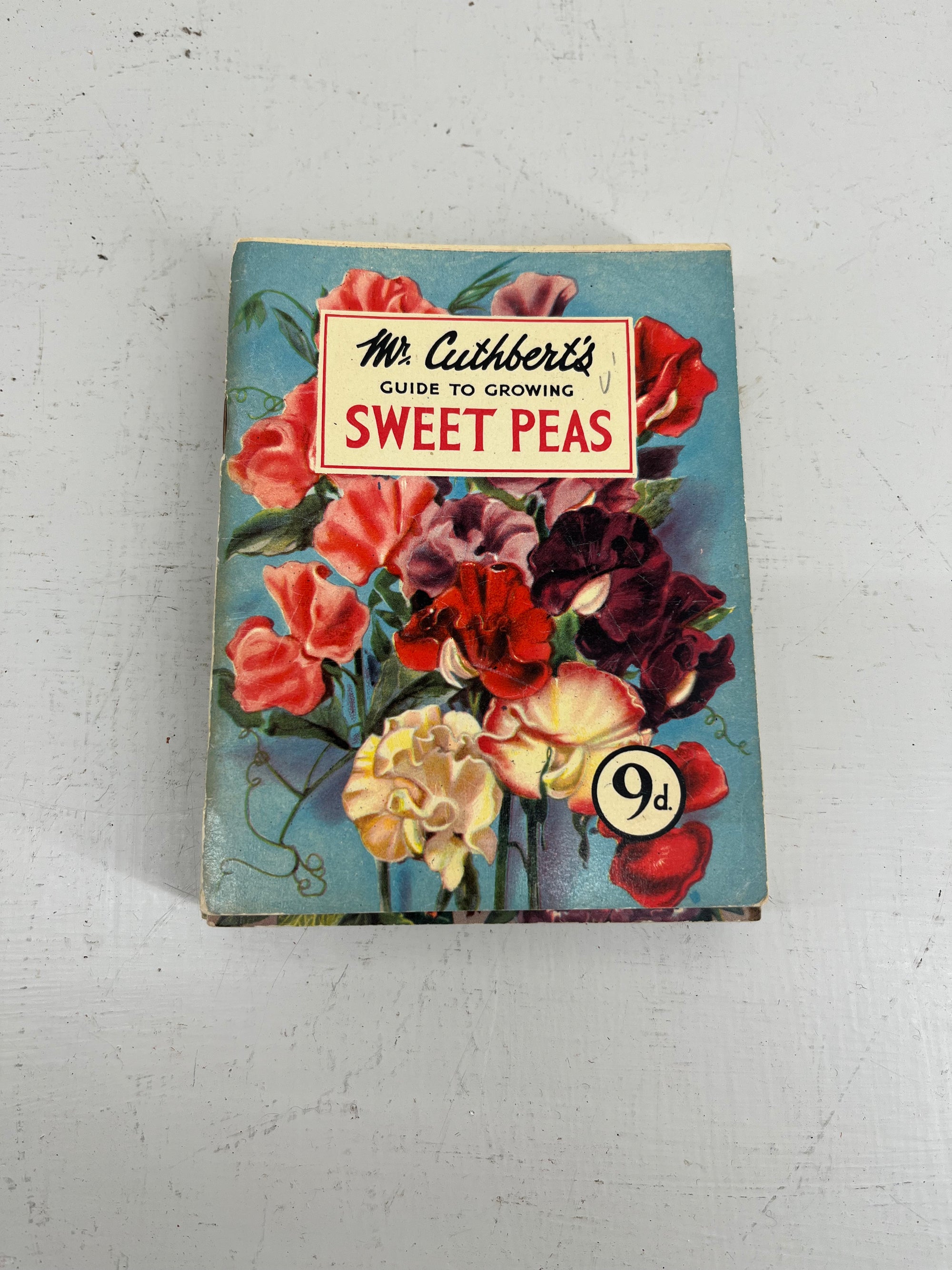 Mr Cuthberts Sweet Peas