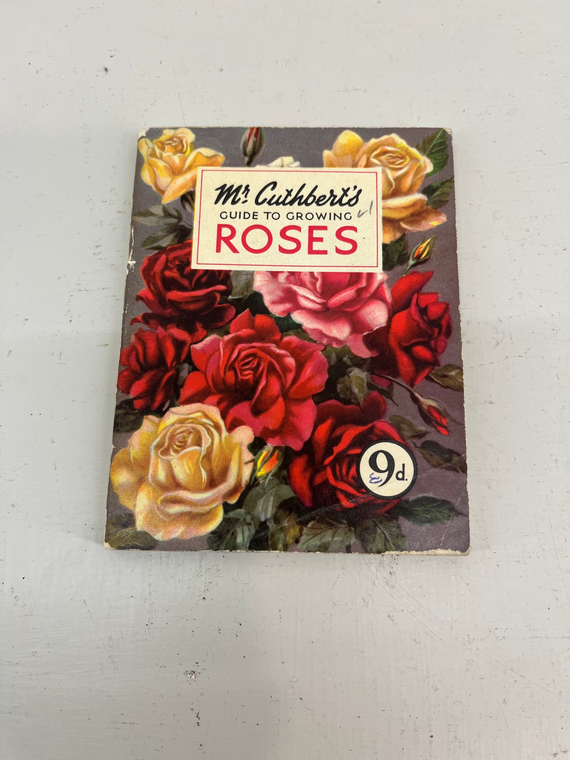 Mr Cuthberts Roses