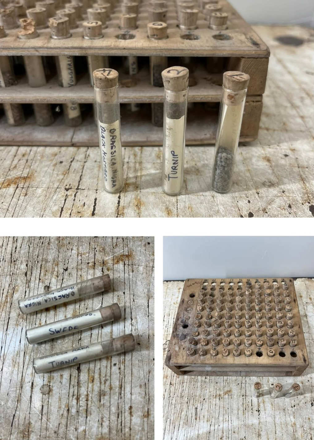 Set of Seed Samples