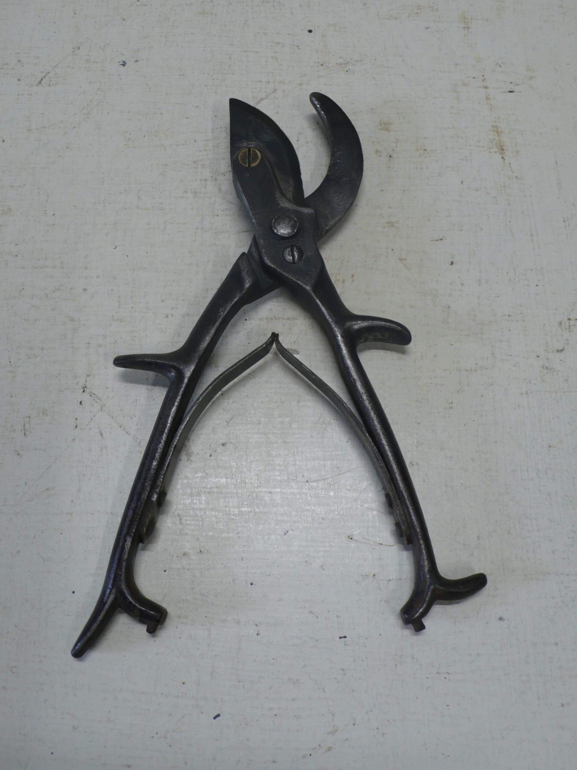 Vintage American Secateurs