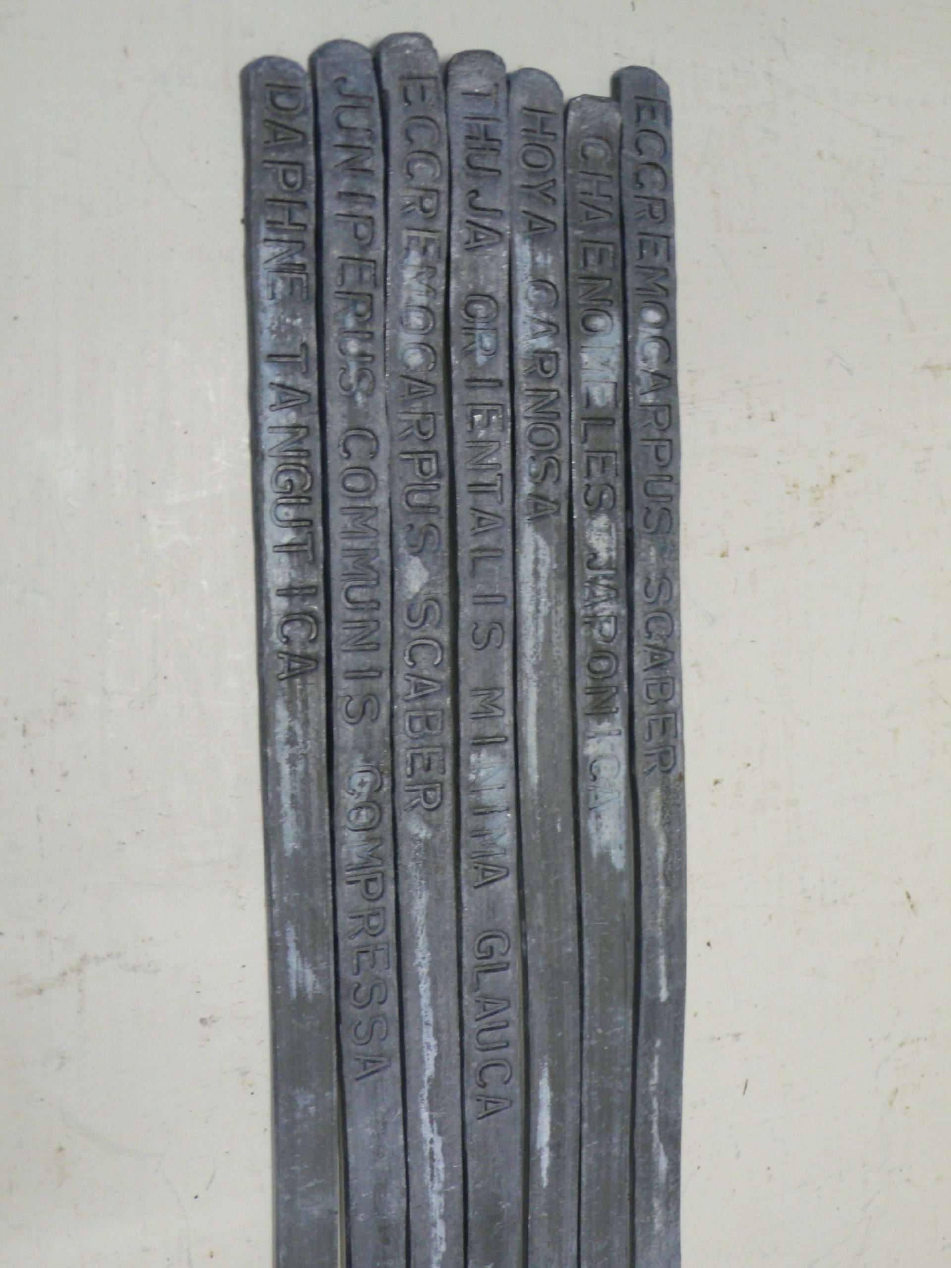 Serpent Lead Labels