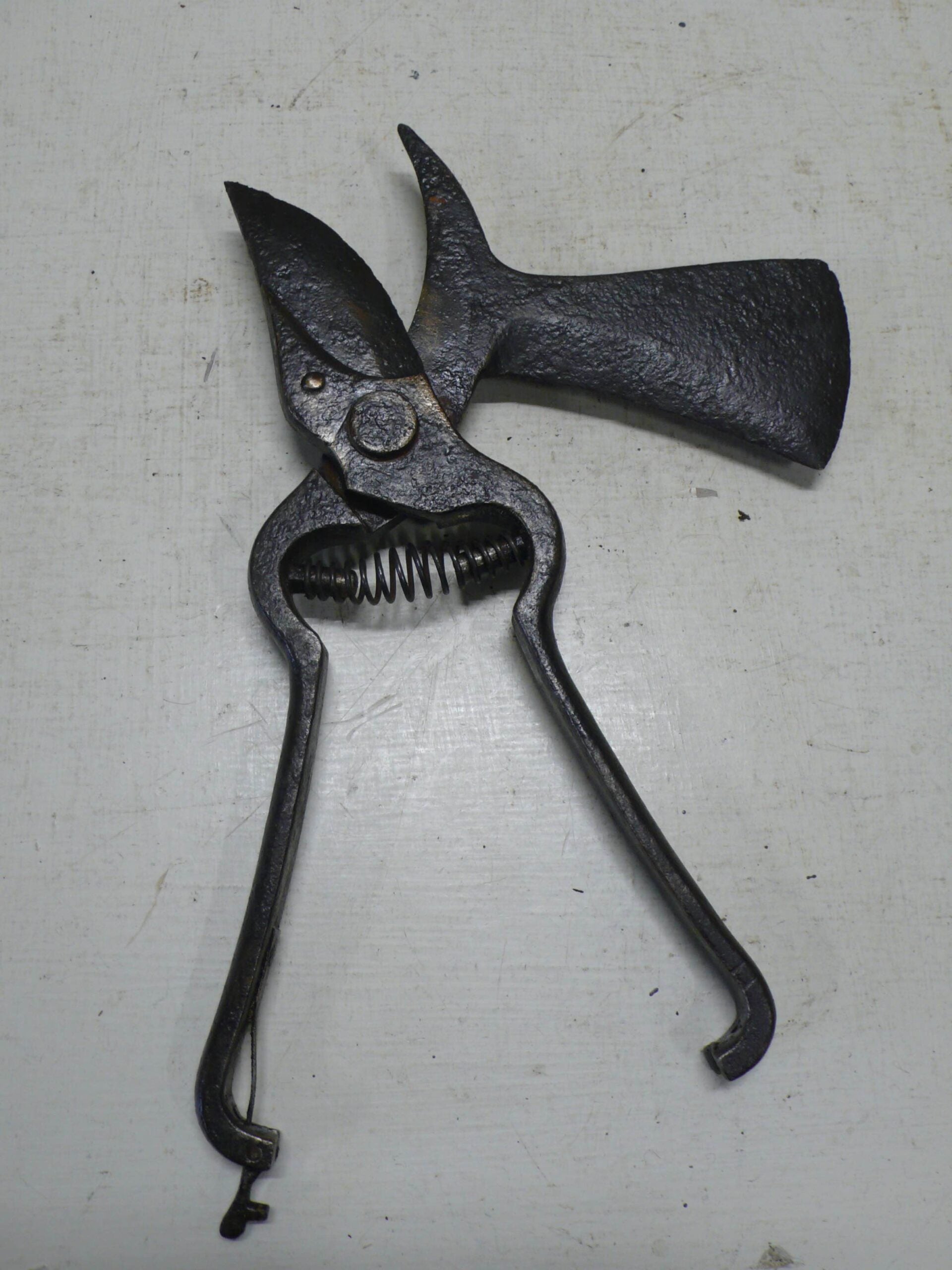 French Vine Secateurs