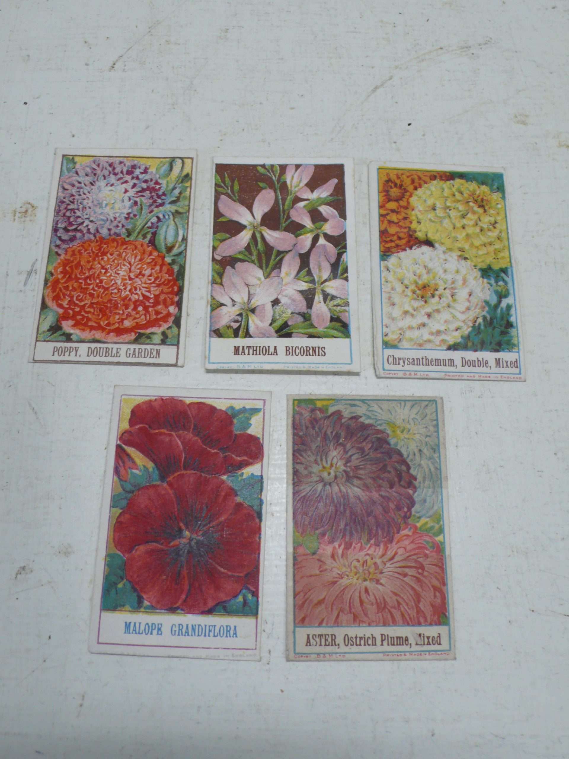 Vintage R &amp; A Taylor Seed Packets