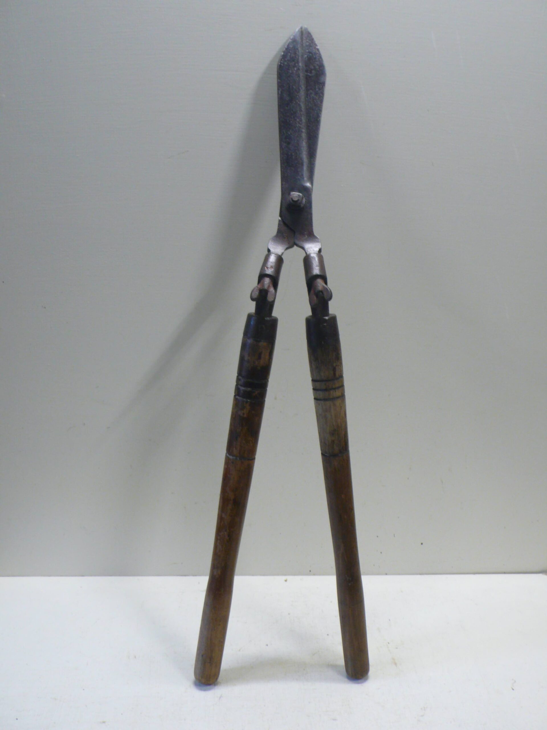 Vintage Adjustable Shears