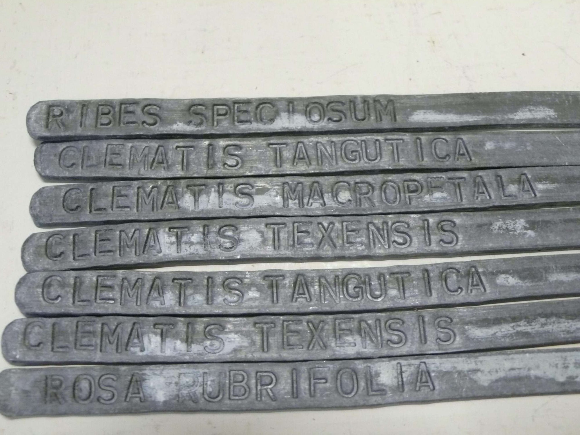 Serpent Lead Labels