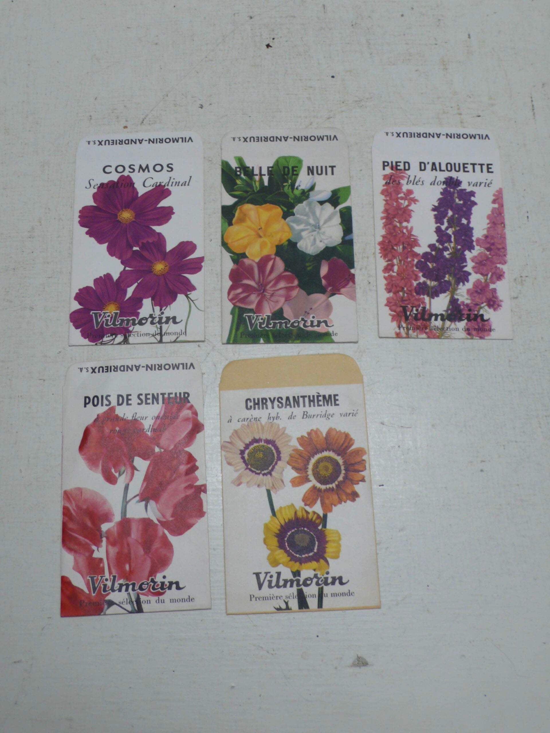vilmorin flower seeds Vilmorin Flower Seed Packets – Garden & Wood