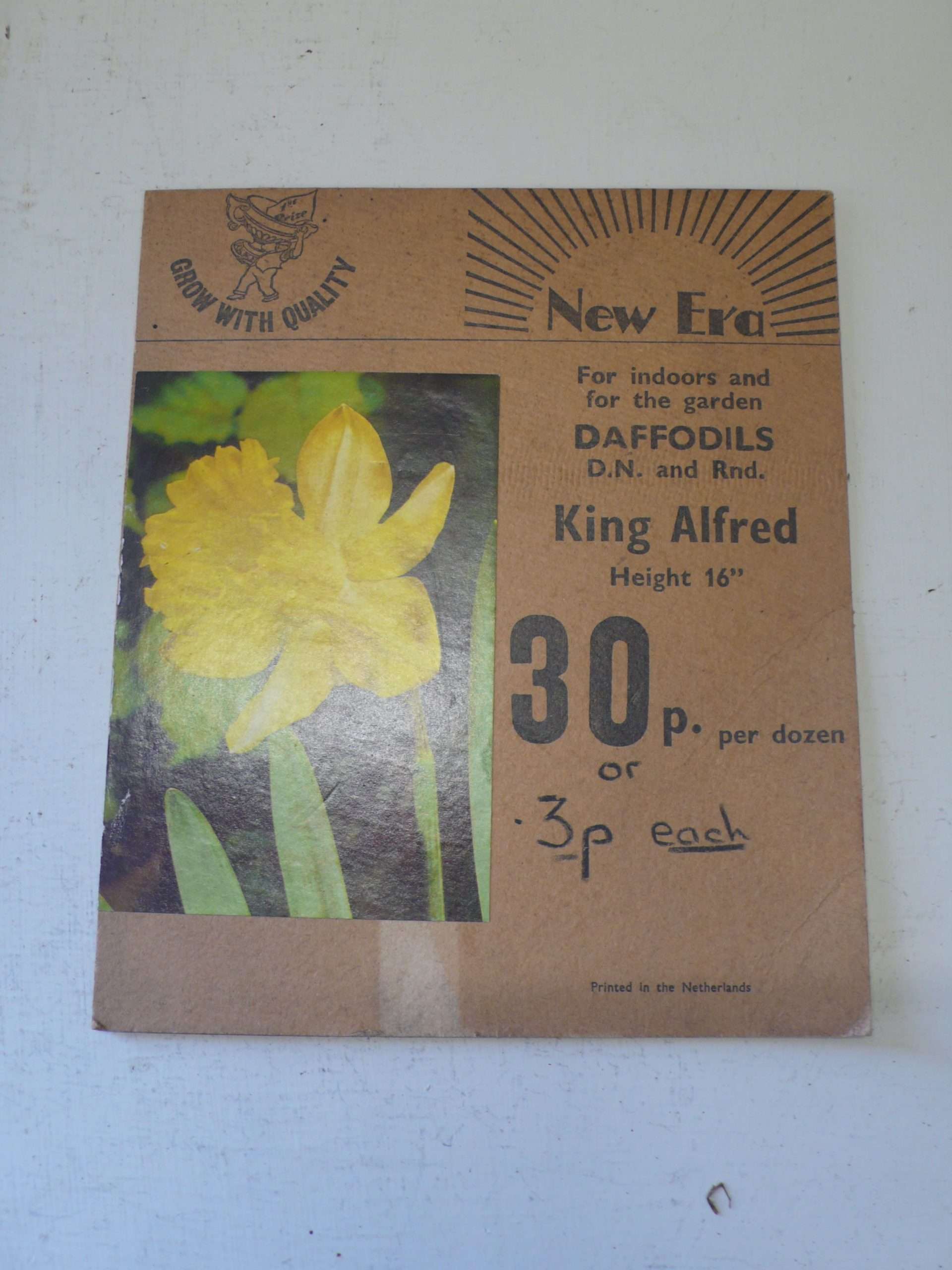 Daffodil Bulb Card