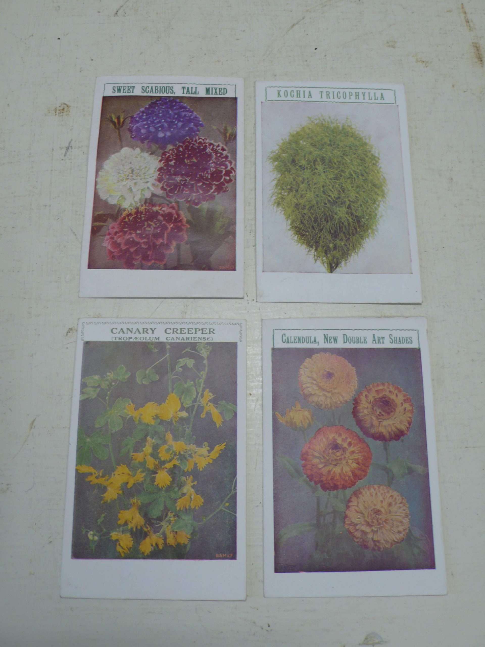 Vintage English Seed Packets