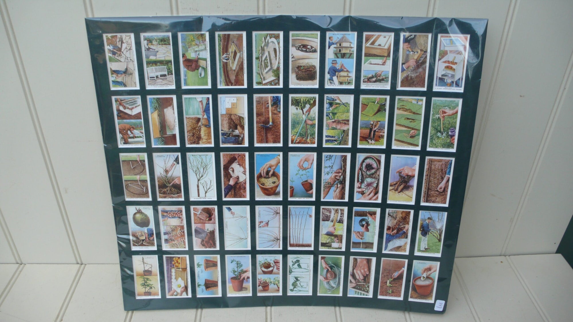 Garden Hints Cigarette Cards