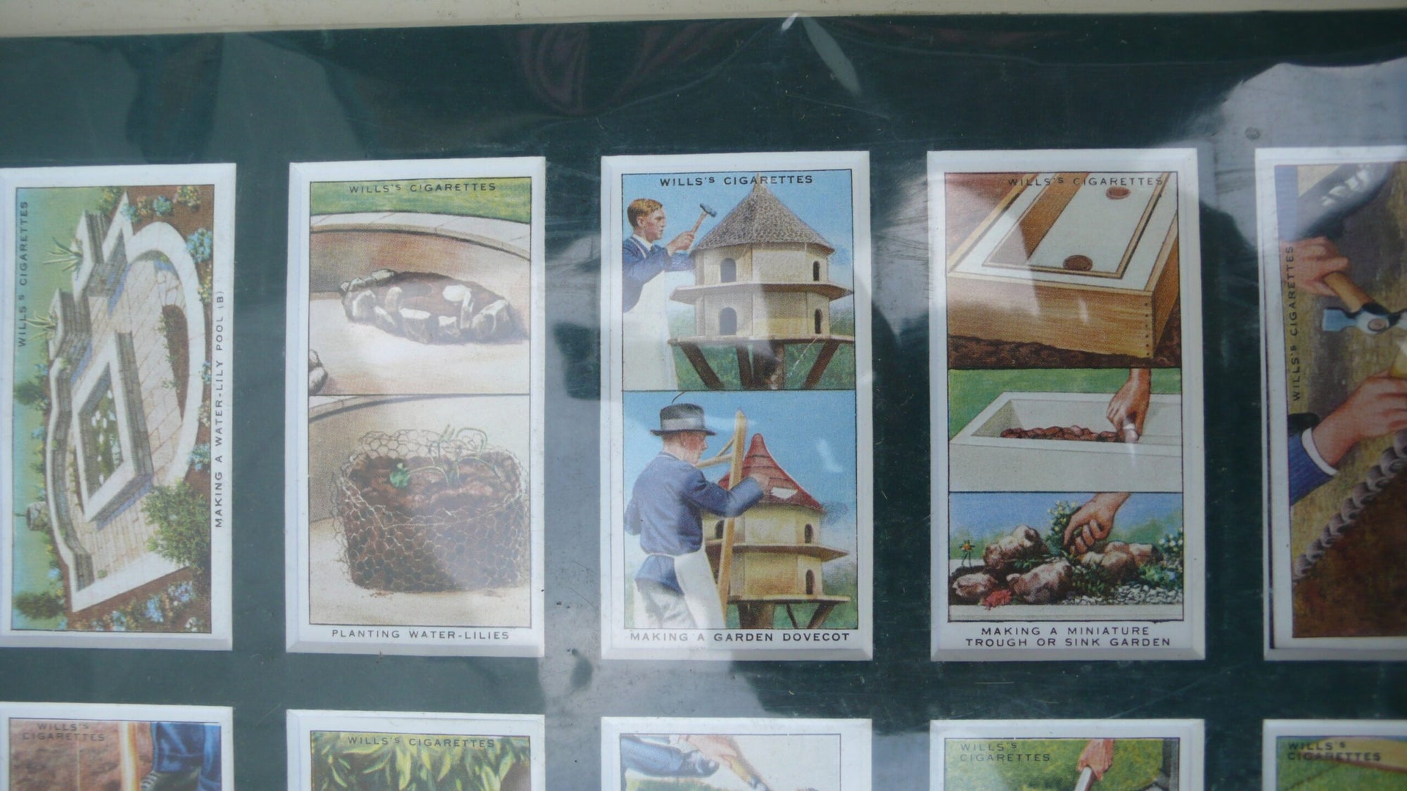 Garden Hints Cigarette Cards