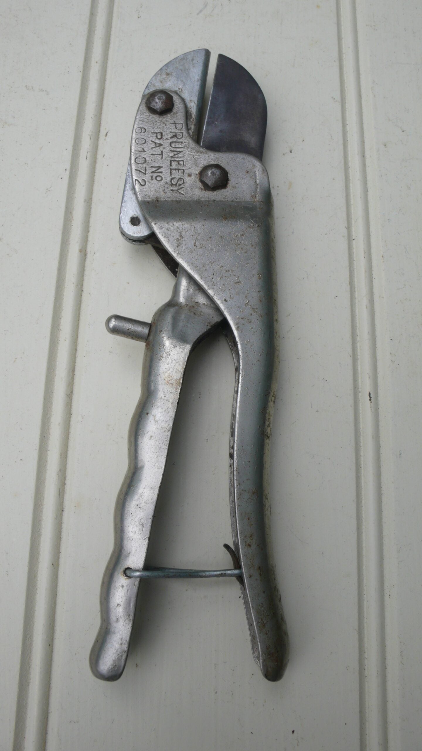 B E P Secateurs