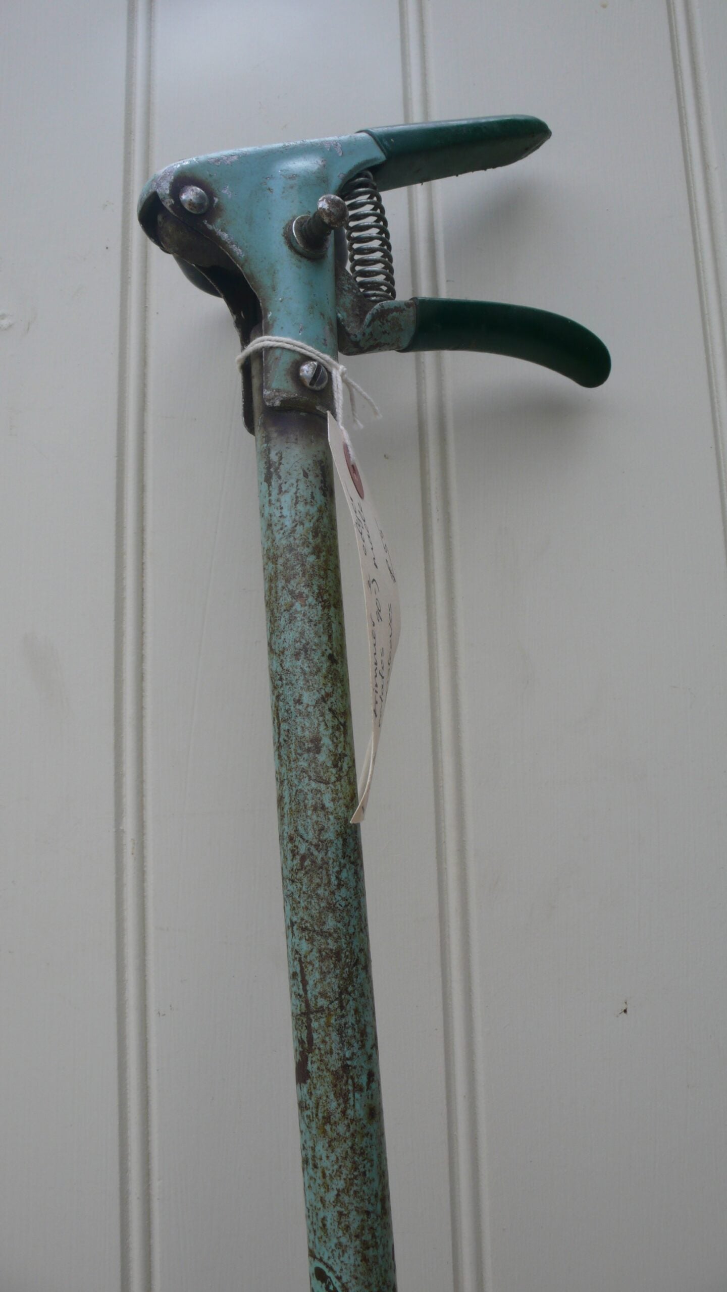Lawn Trimmer and Edger