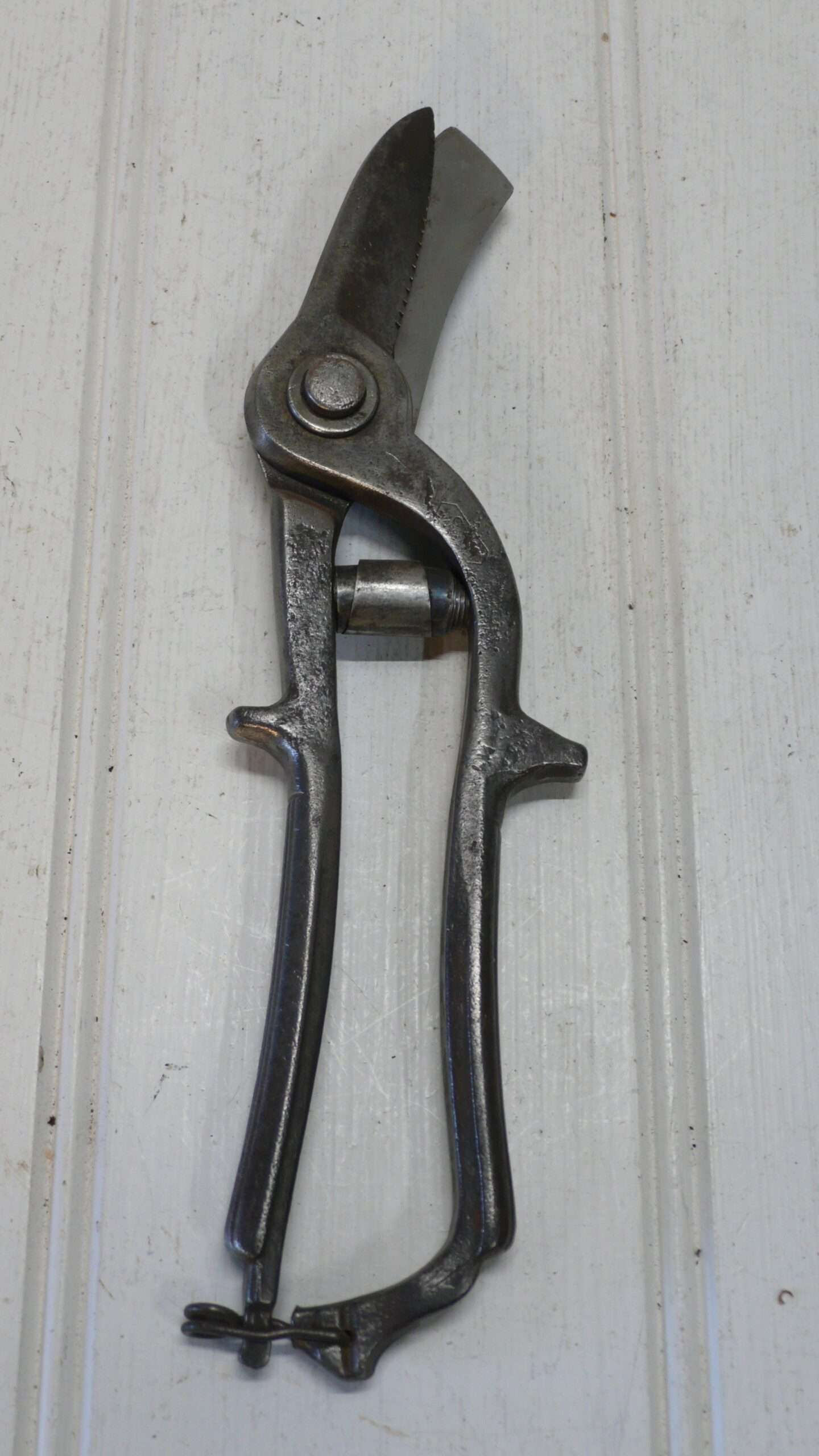 Vintage Secateurs