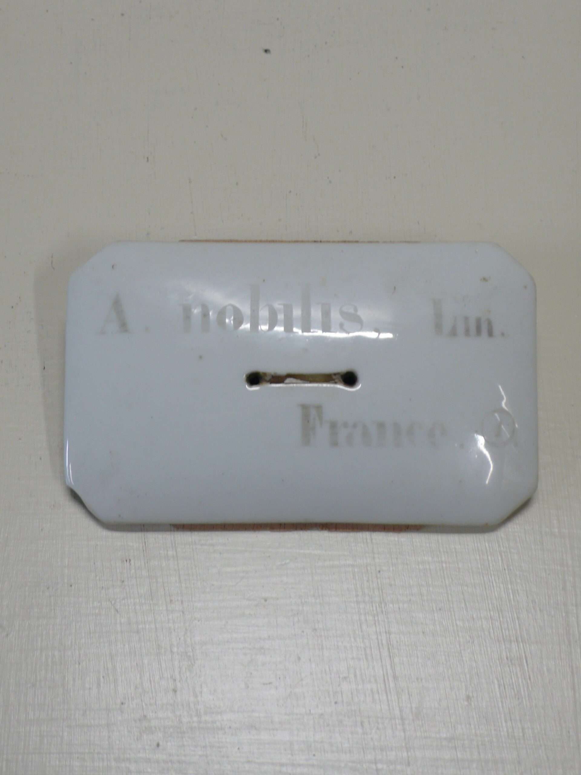 French Porcelain Plant Label