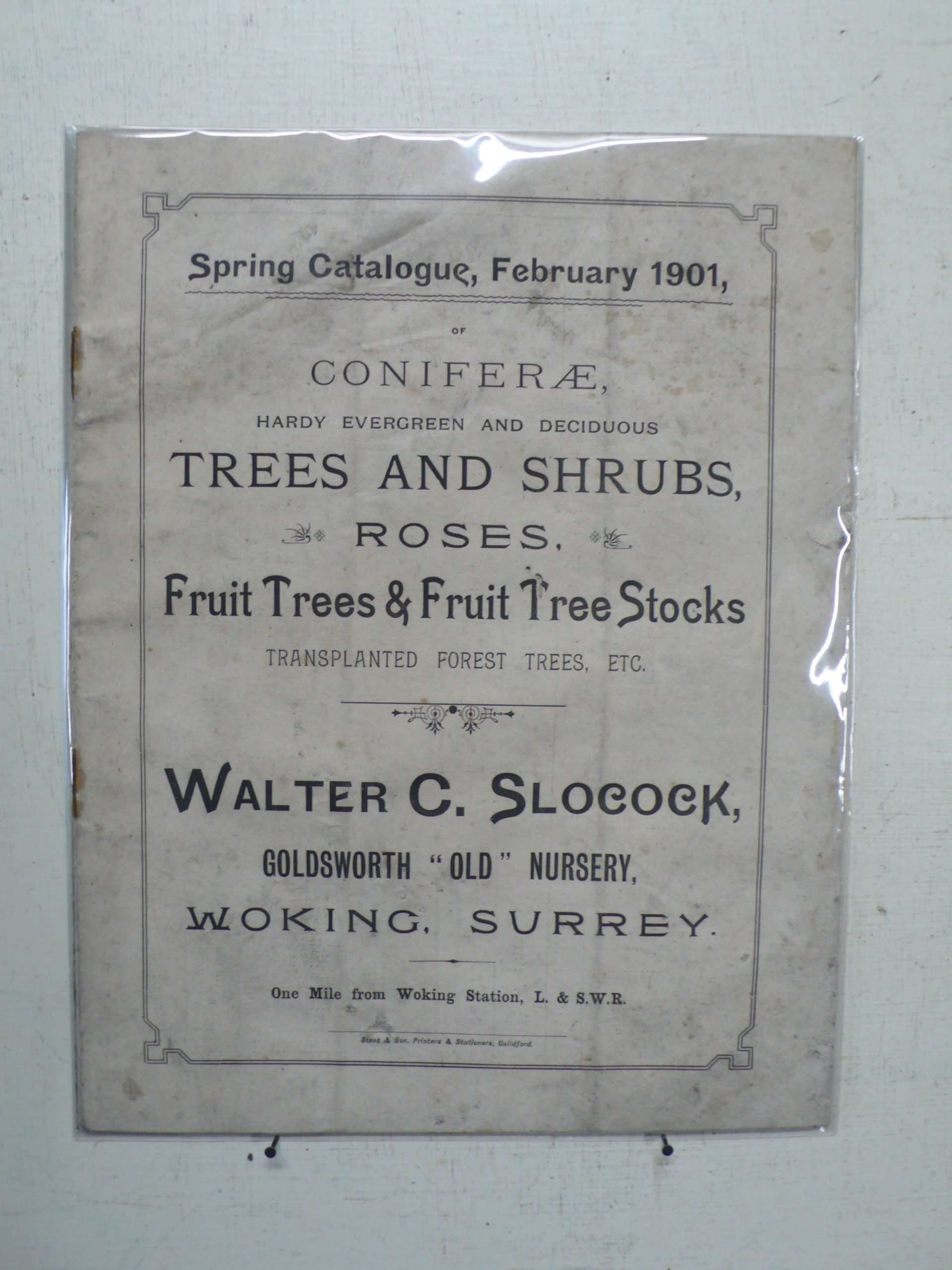 Walter Slocock Nursery Catalogue