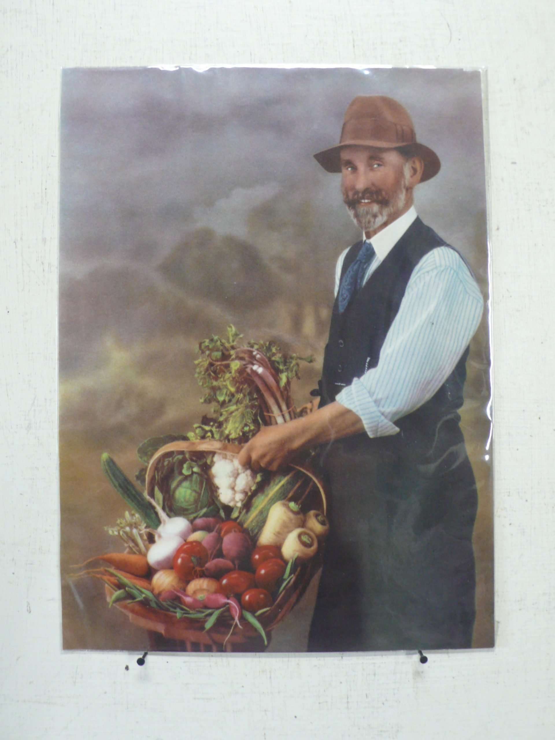 Seed Company Magazine Cuttings
