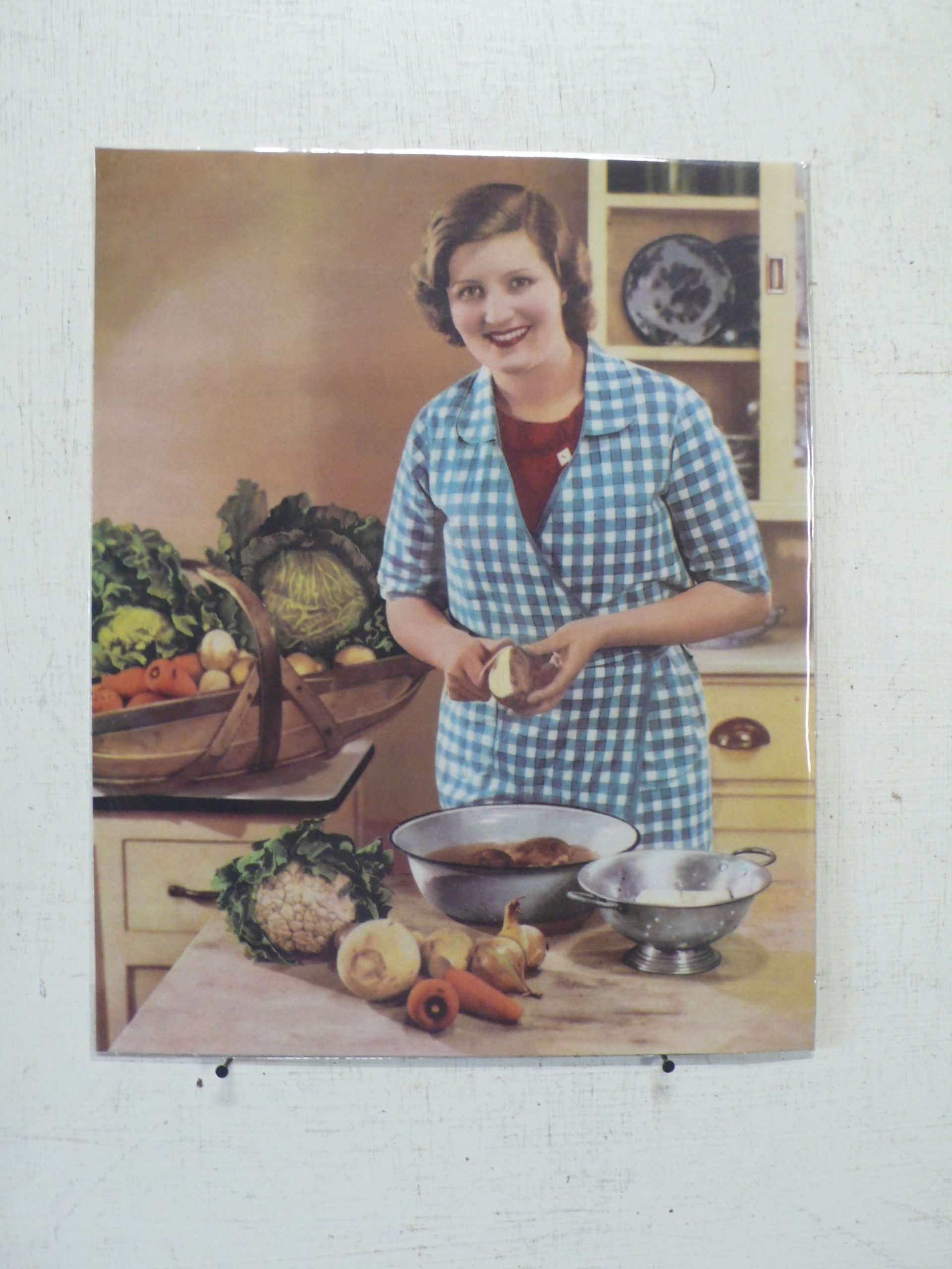 Seed Company Magazine Cuttings