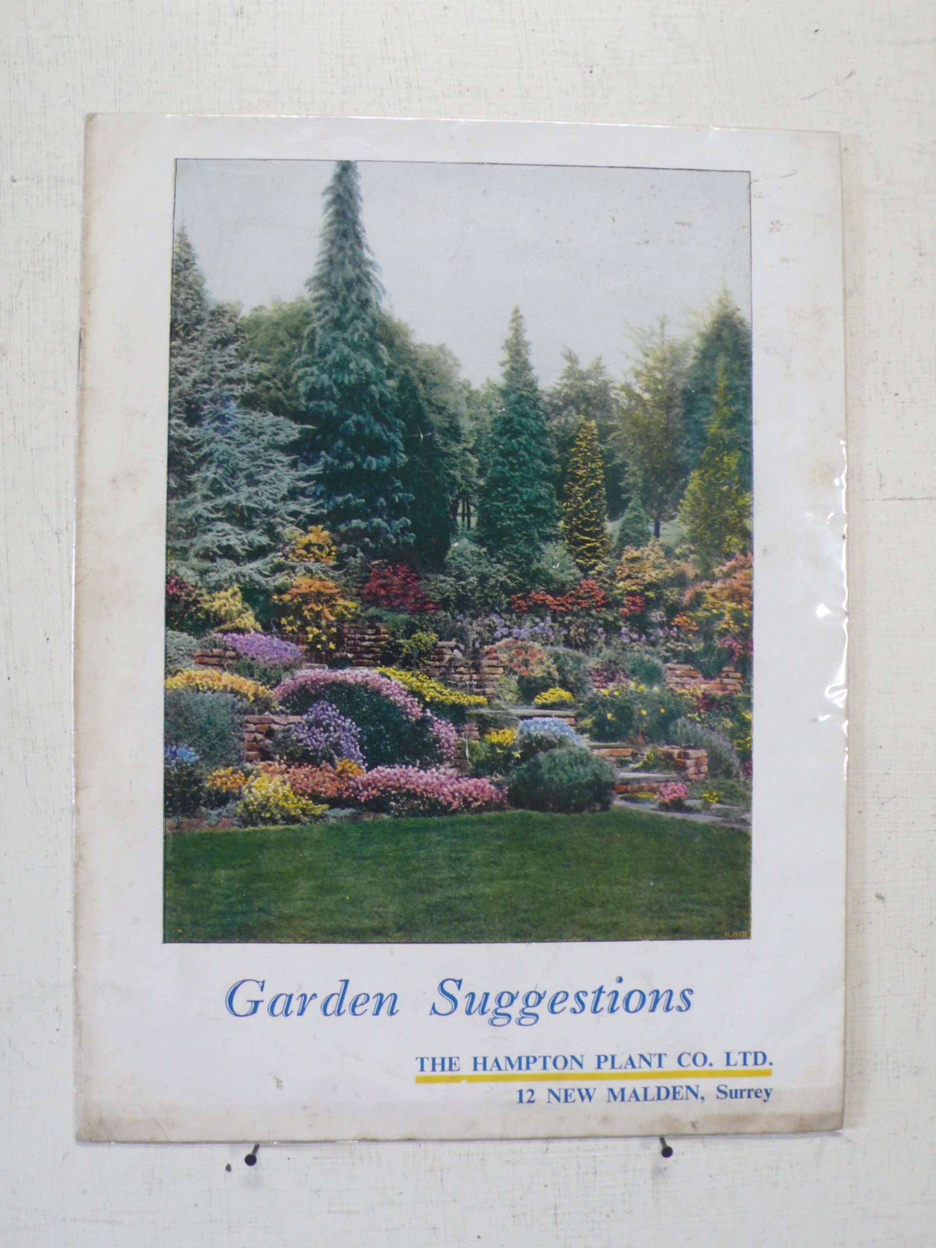 The Hampton Plant Company Catalogue