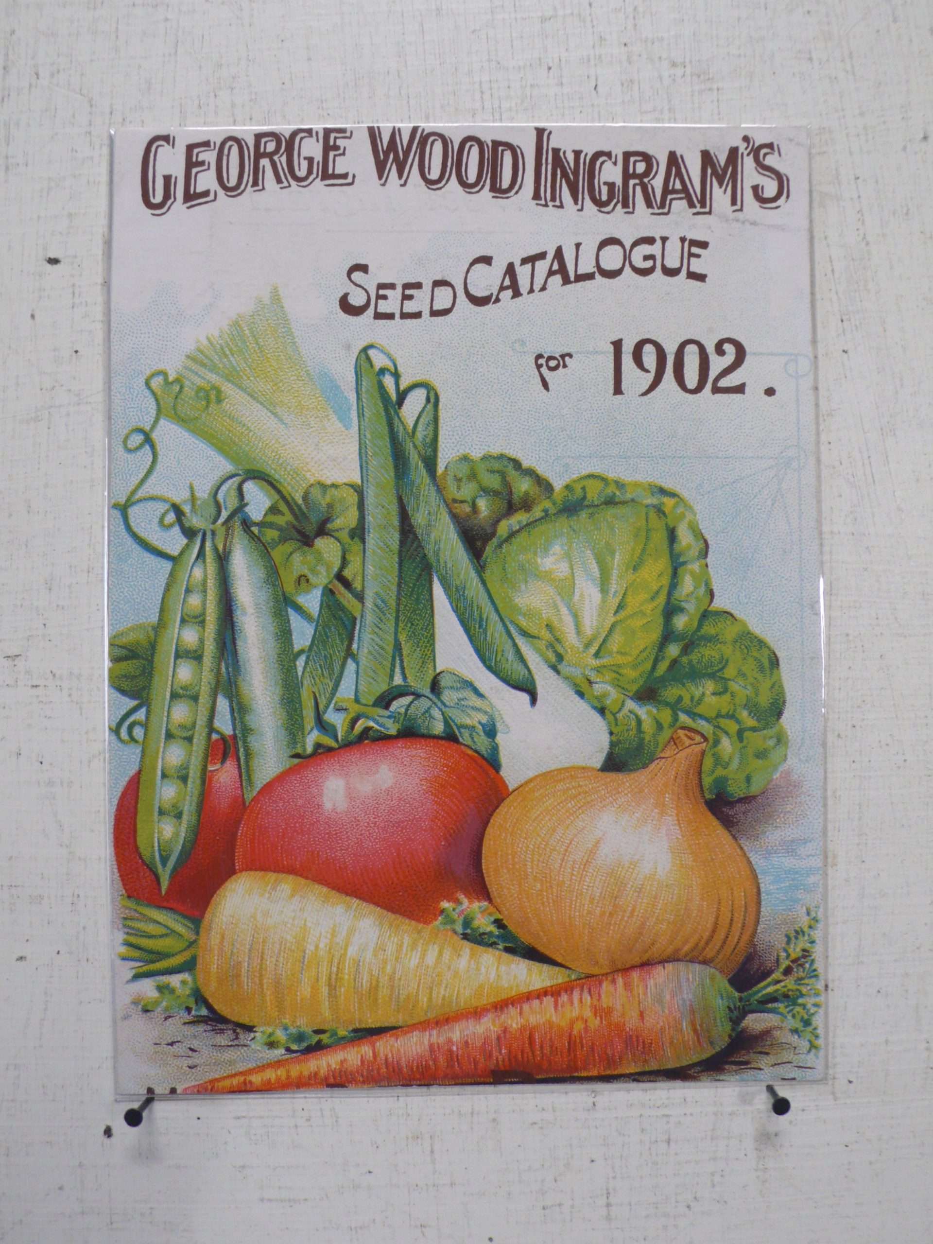 Seed Company Magazine Cuttings
