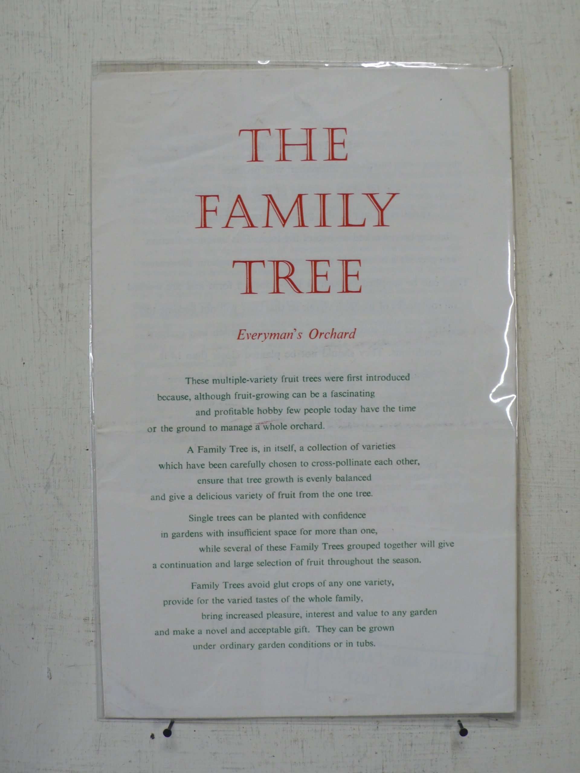 Vintage Fruit Tree Leaflets
