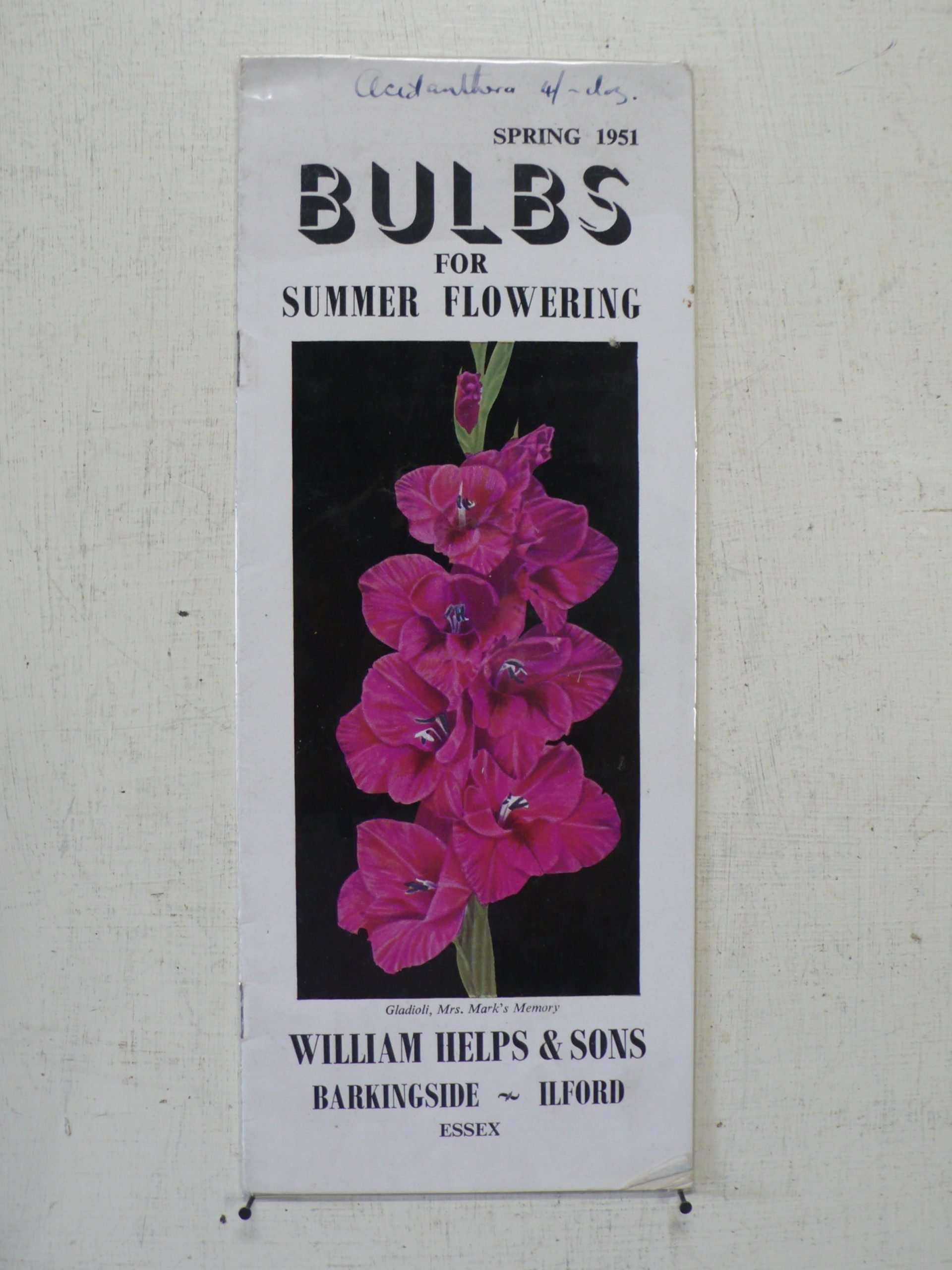 William Helps Bulb Catalogue, 1951