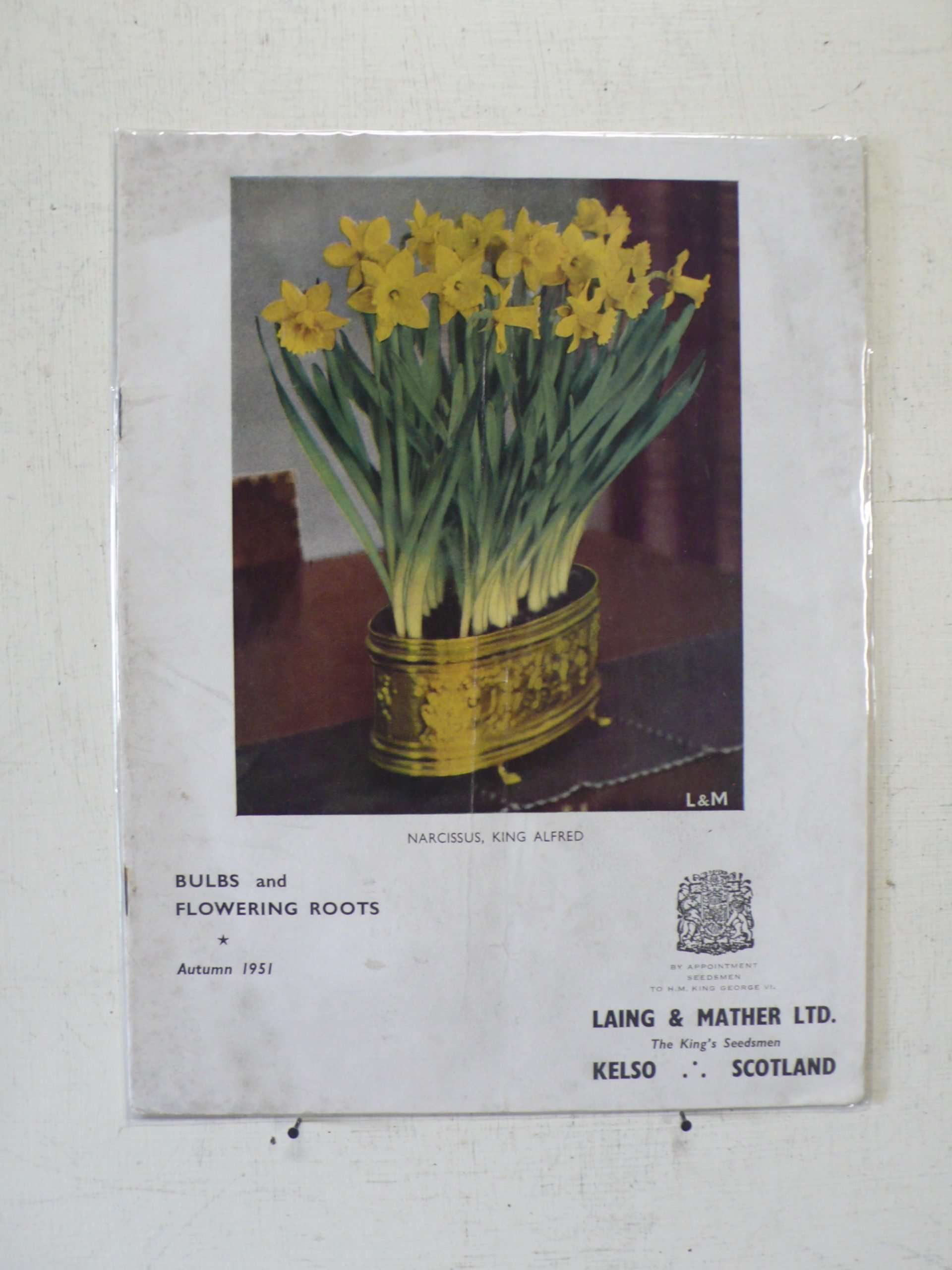 Laing &amp; Mather Bulb Catalogue, Autumn 1951