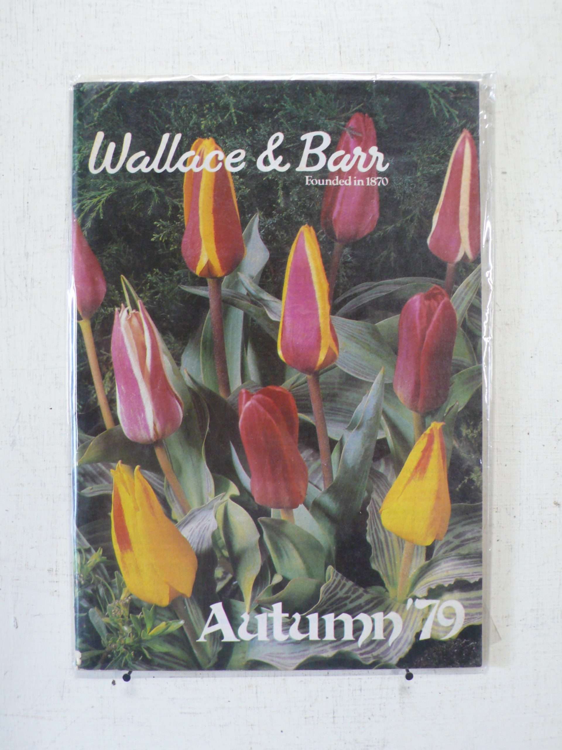 Wallace & Barr Bulb Catalogue, Autumn 79