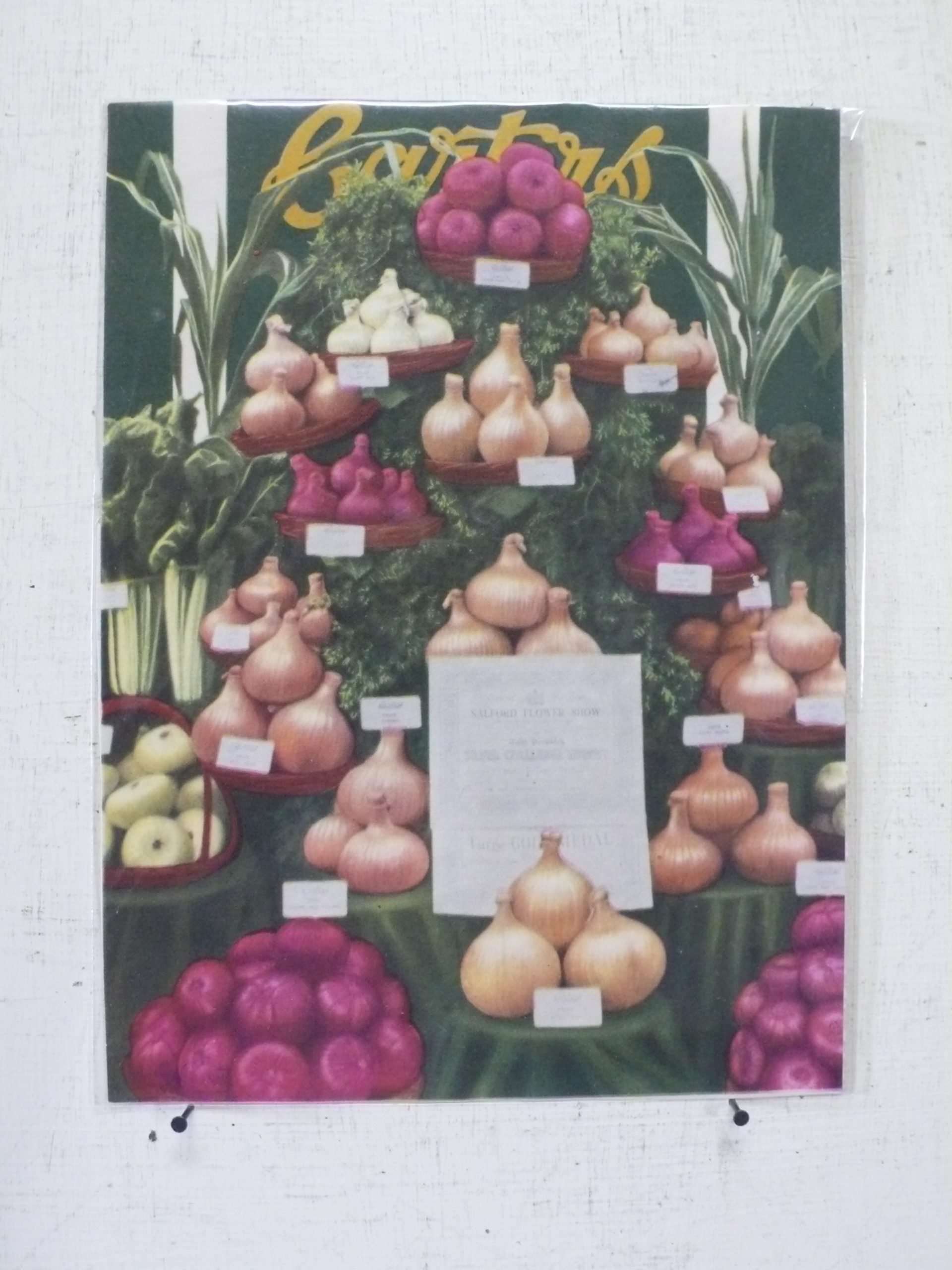 Seed Company Magazine Cuttings