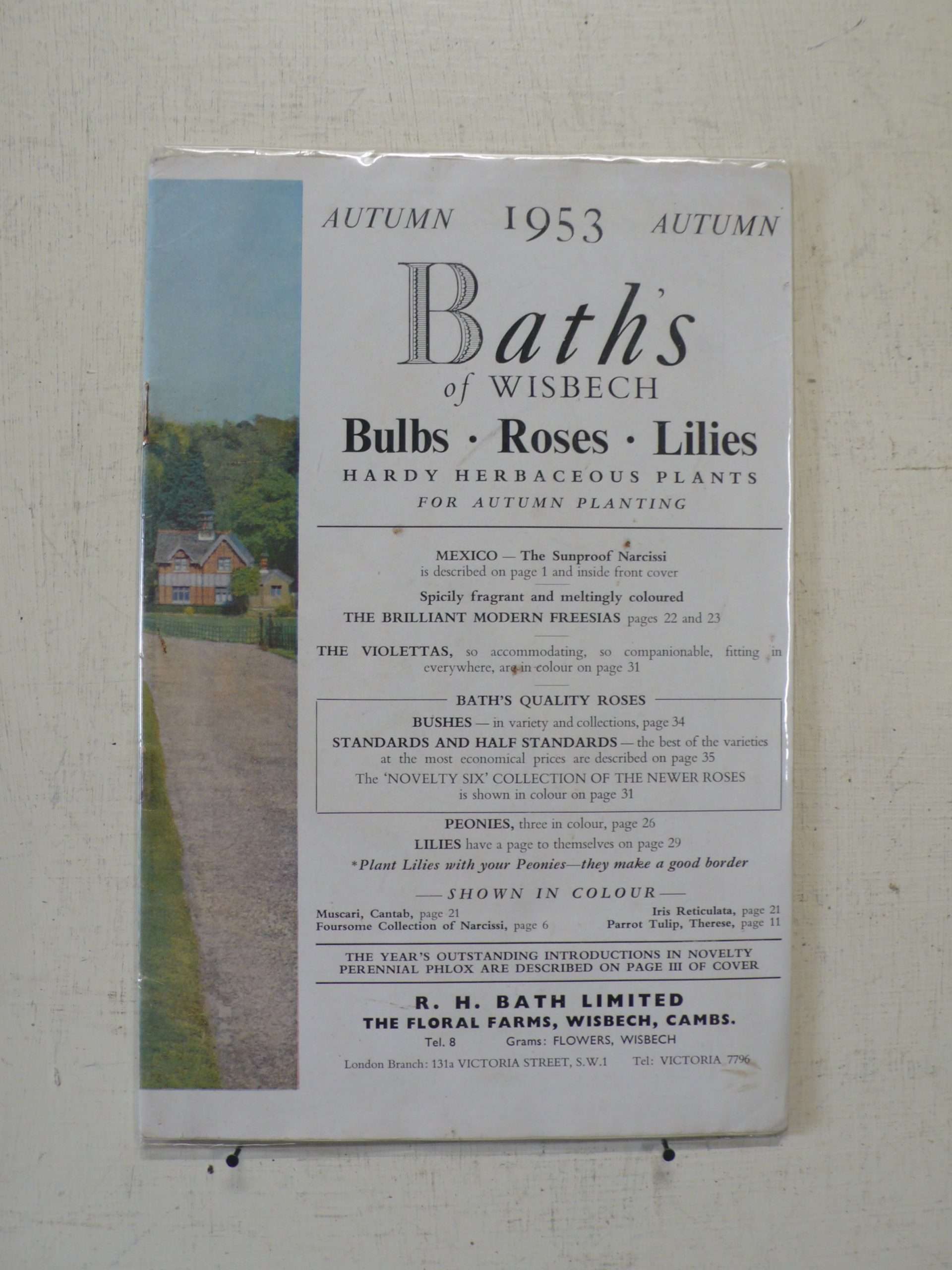 Baths of Wisbech Bulb Catalogue, 1953 Garden & Wood