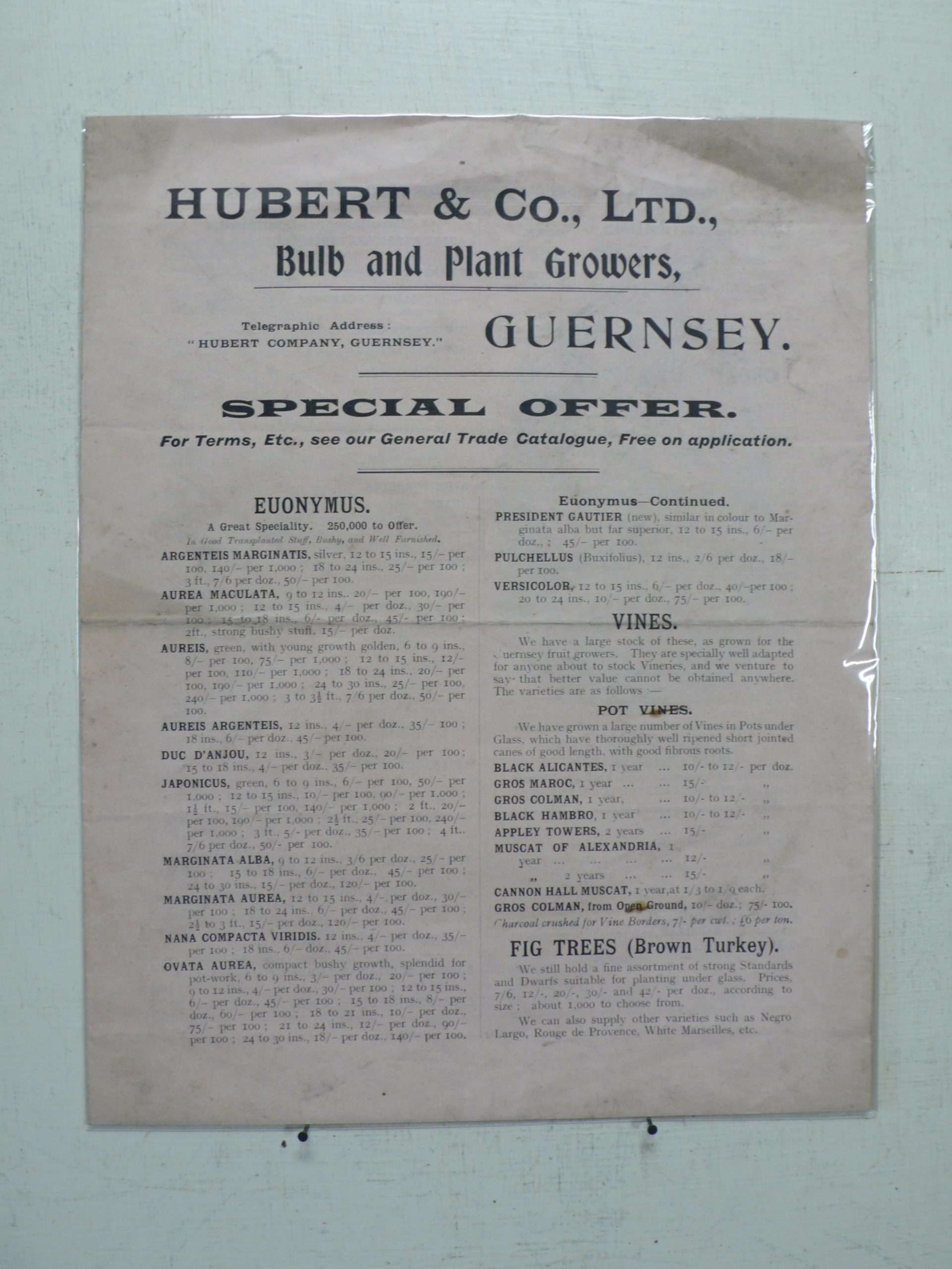 Hubert & Co Nursery Catalogue