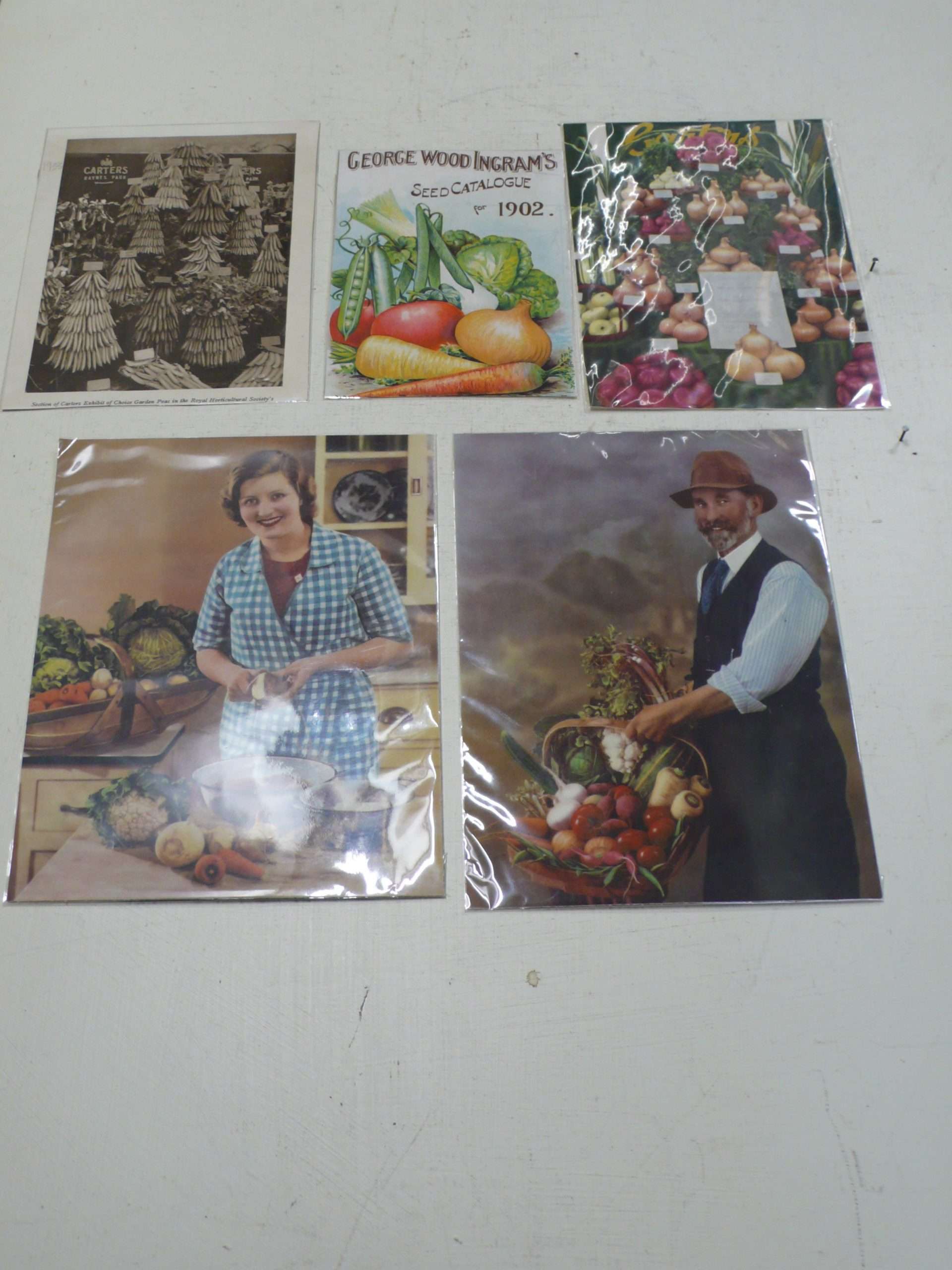 Seed Company Magazine Cuttings