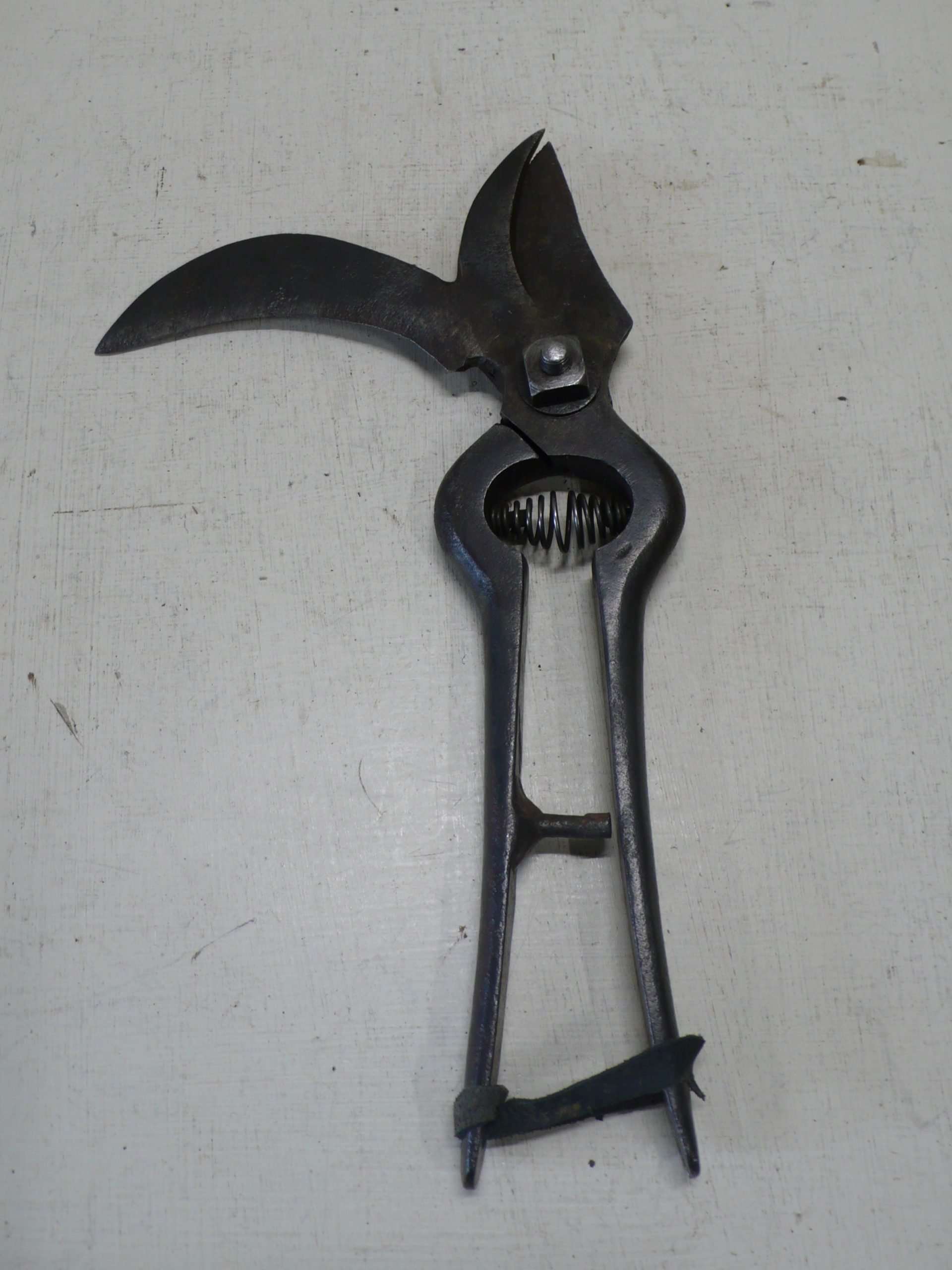 Vine Pruning Secateurs