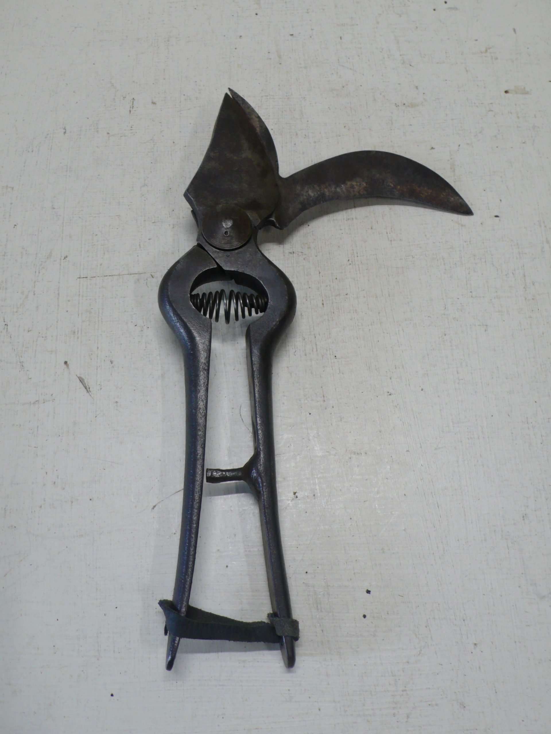 Vine Pruning Secateurs