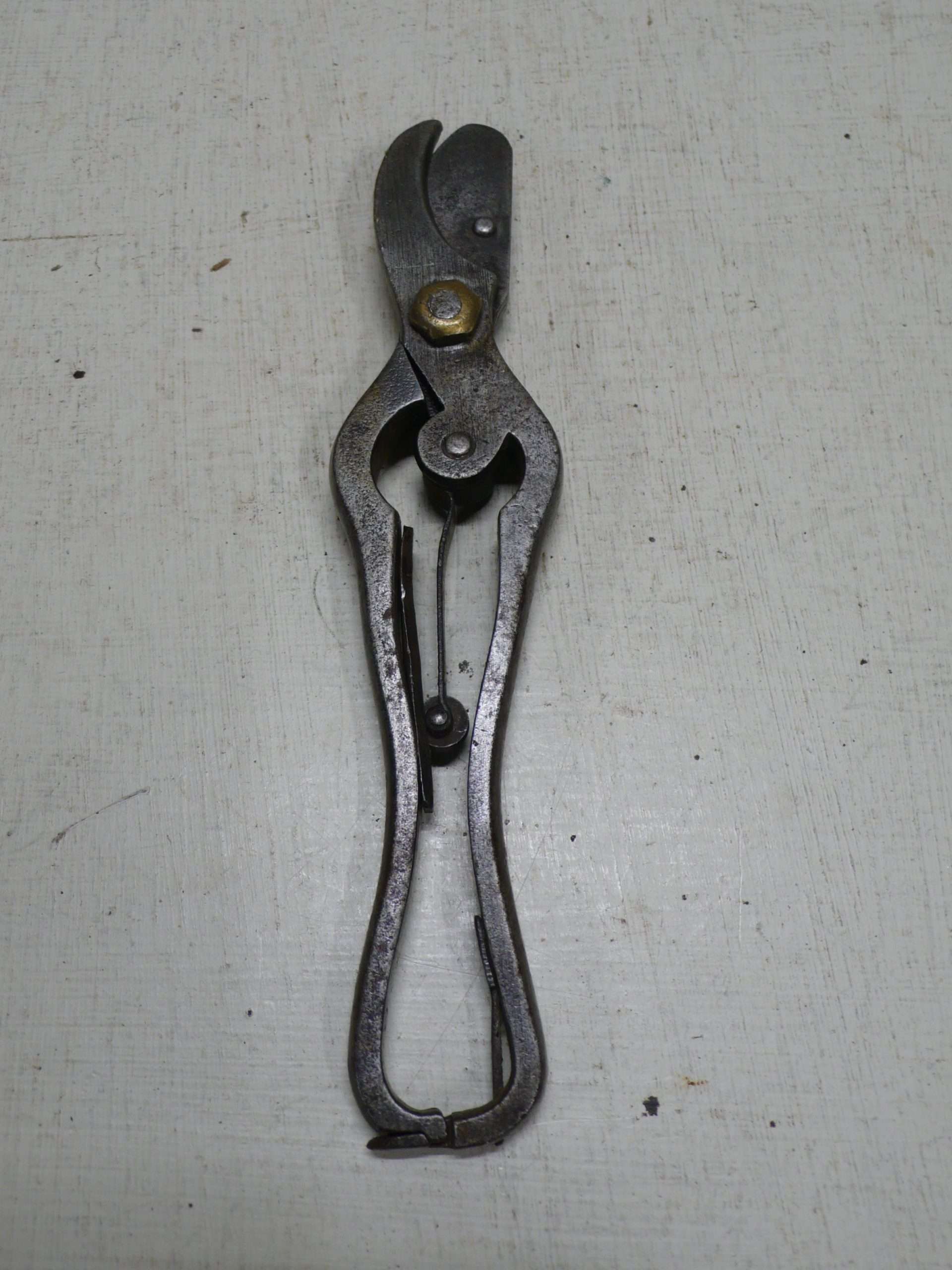 Vintage French Secateurs