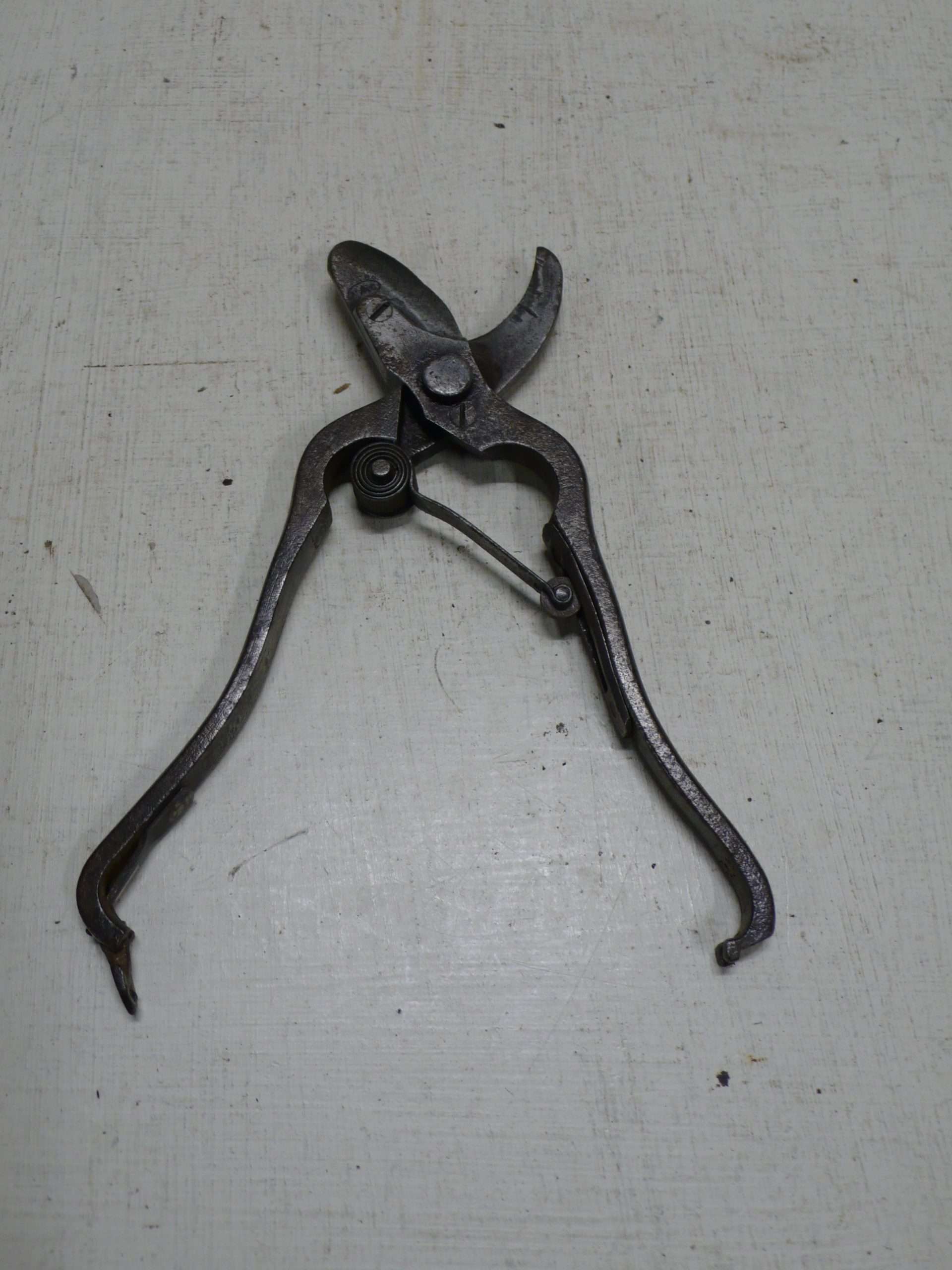 Vintage French Secateurs