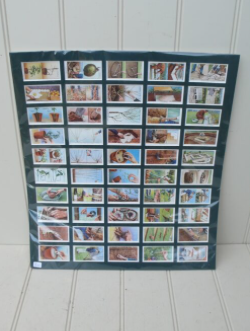 Garden Hints Cigarette Cards