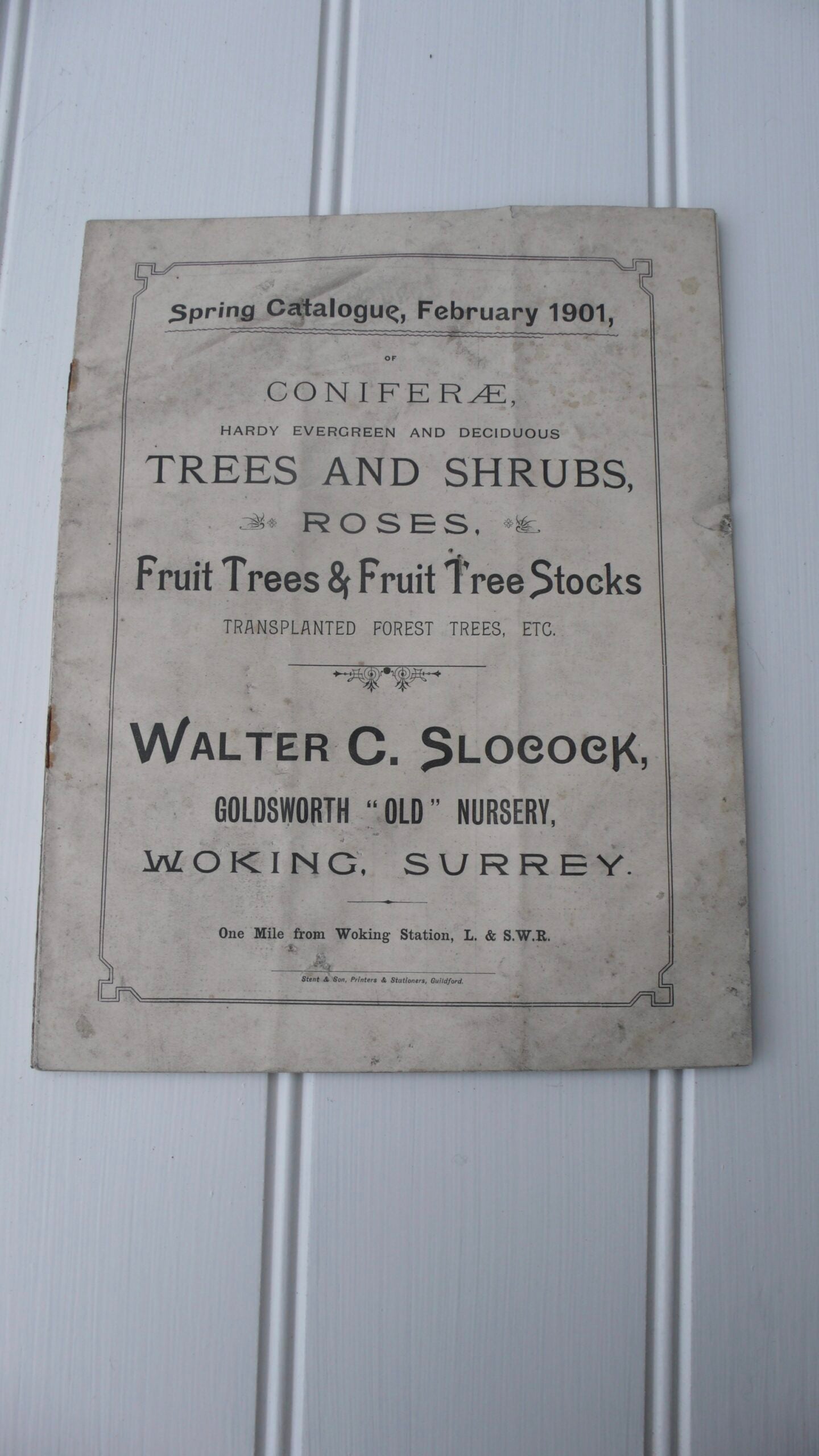 Walter Slocock Nursery Catalogue