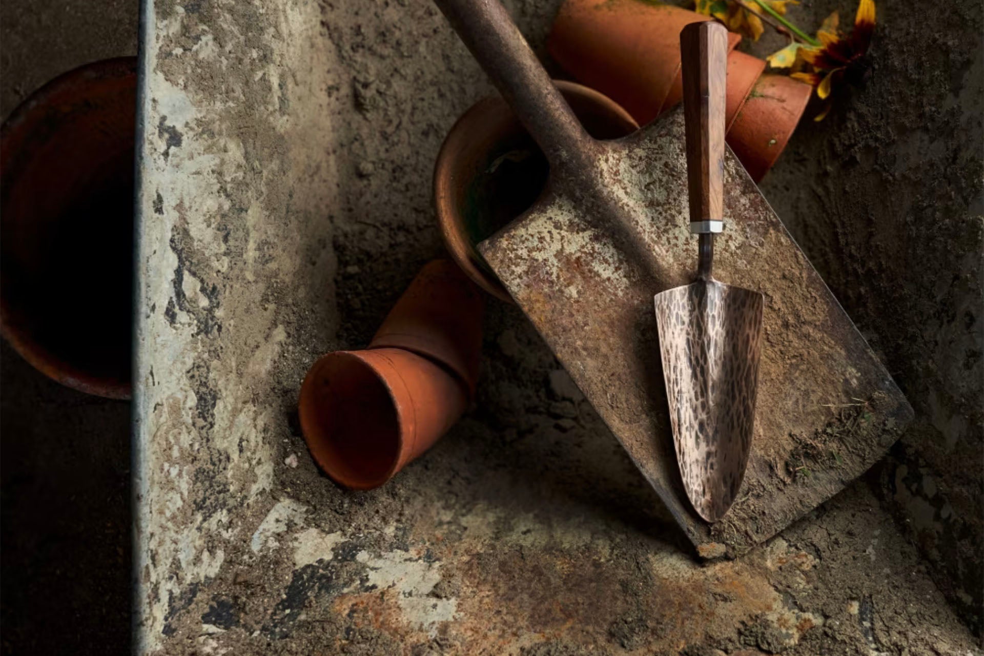 Read the Feature in the FT