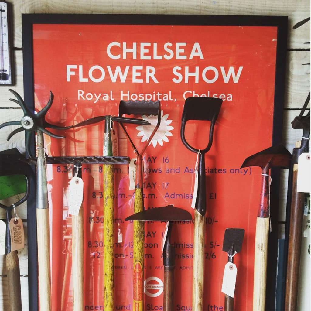 RHS, Chelsea & Flower Shows