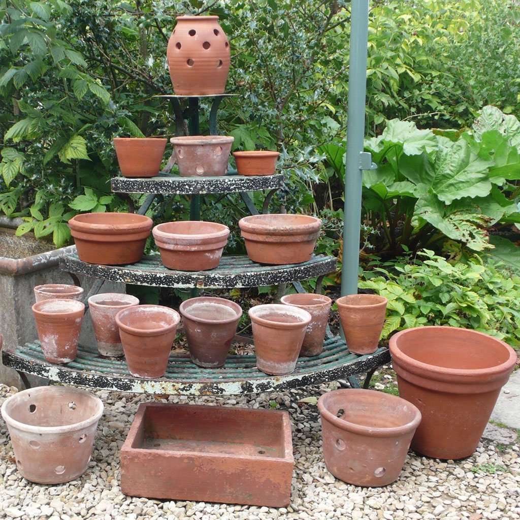 Vintage Terracotta & Flower Pots