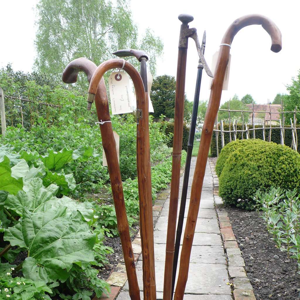 Gardening Walking Sticks