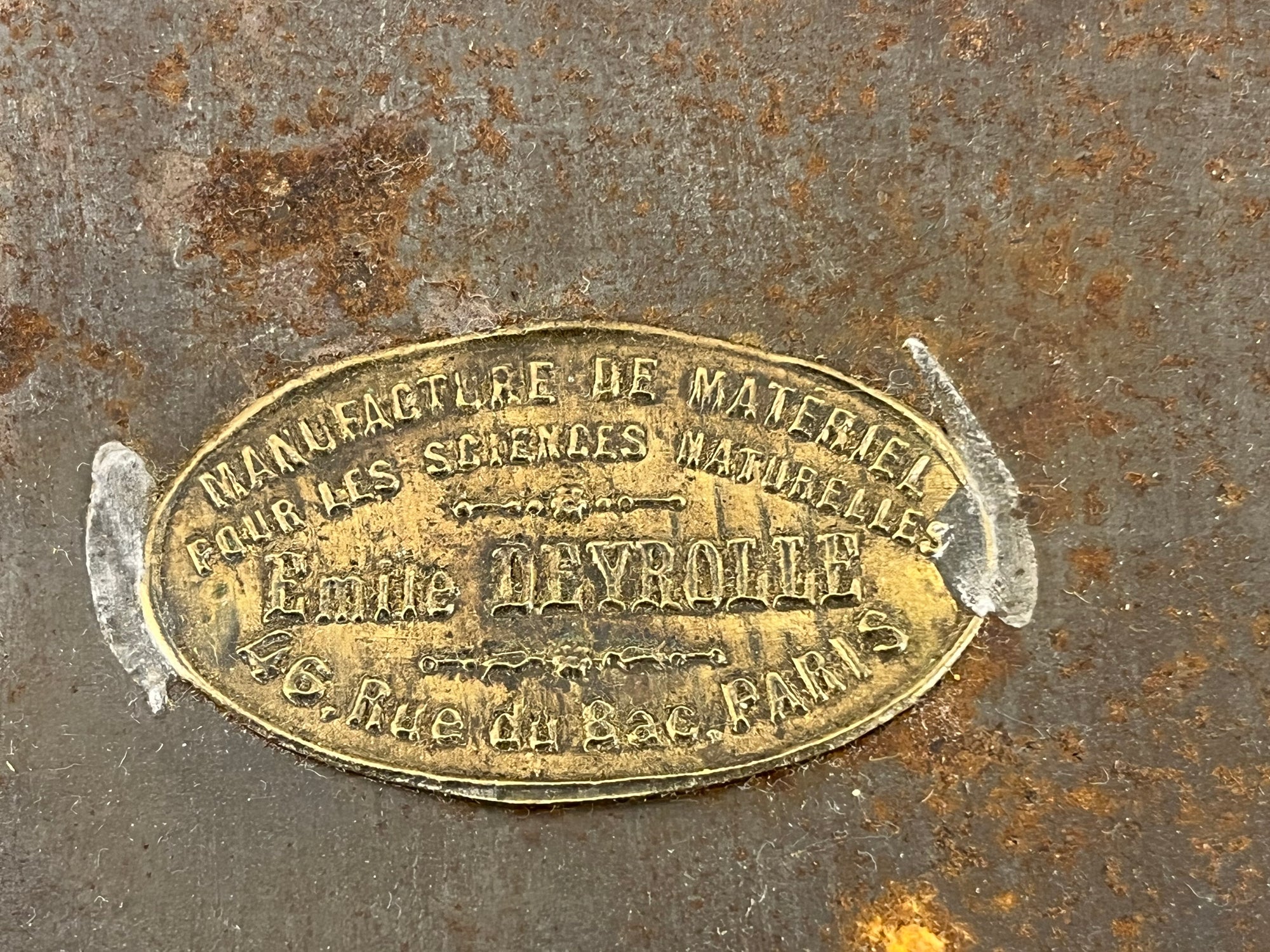 Deyrolle Botanical Vasculum