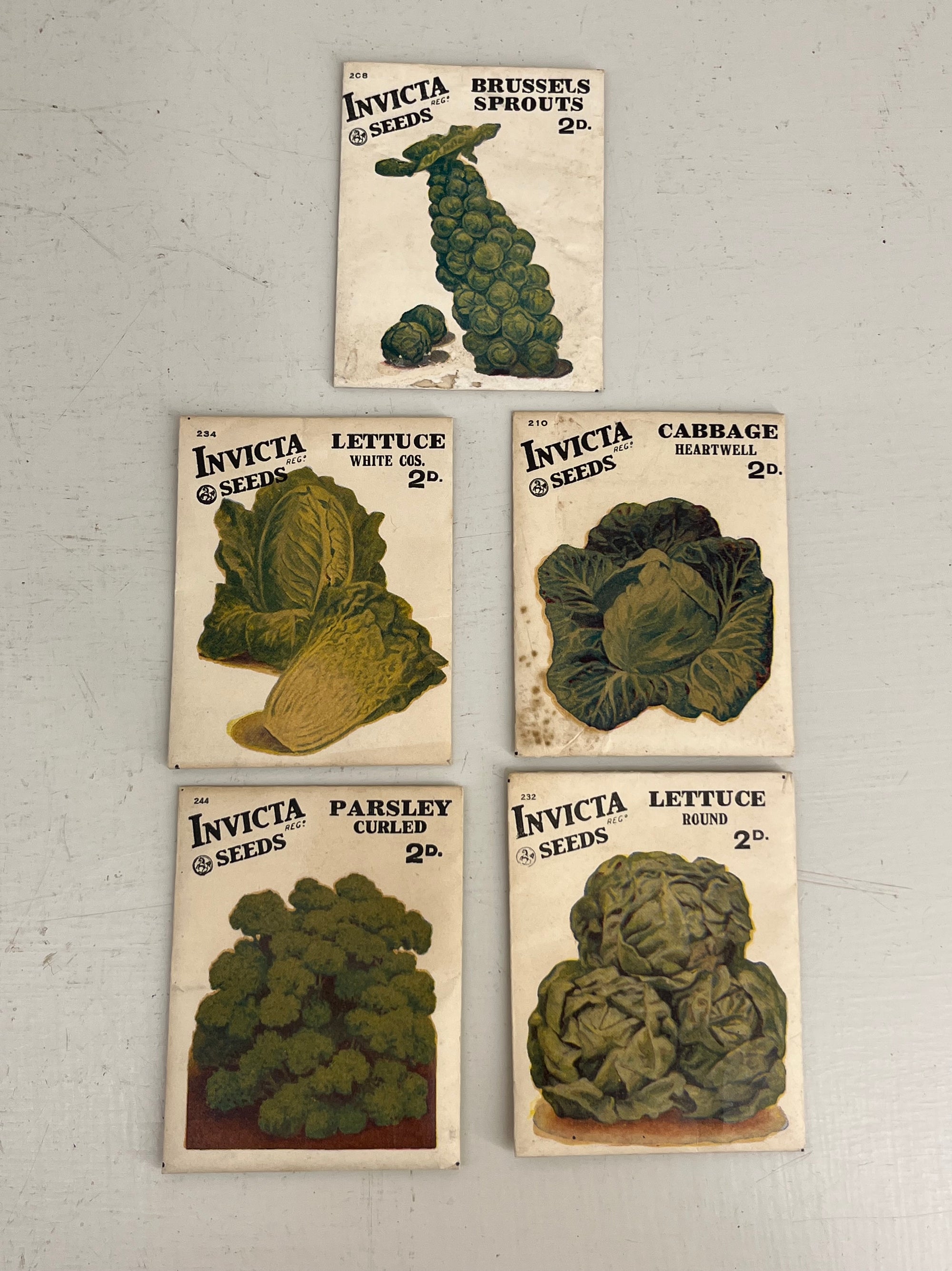 Vintage Invicta (Carters) Seed Packets