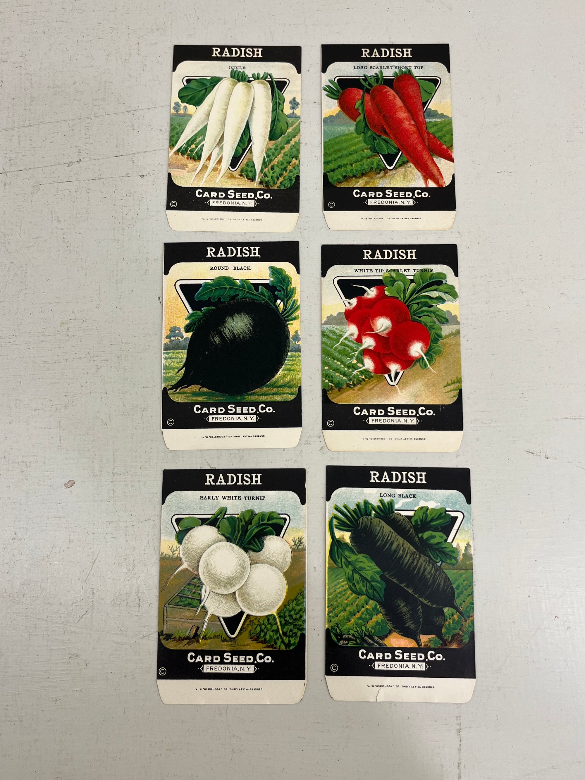 Vintage American Radish Seed Packets