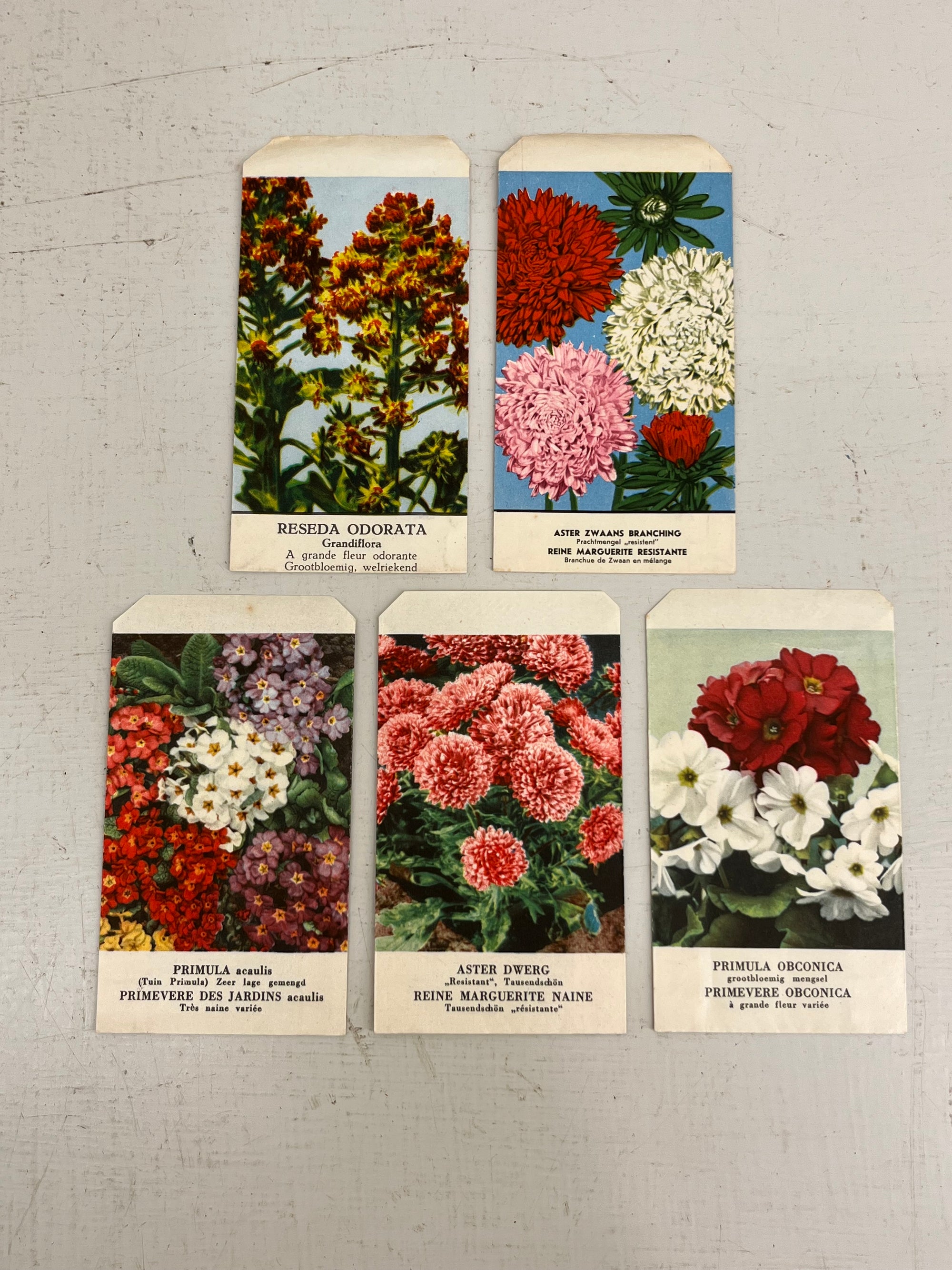 Vintage Belgian Flower Seed Packets