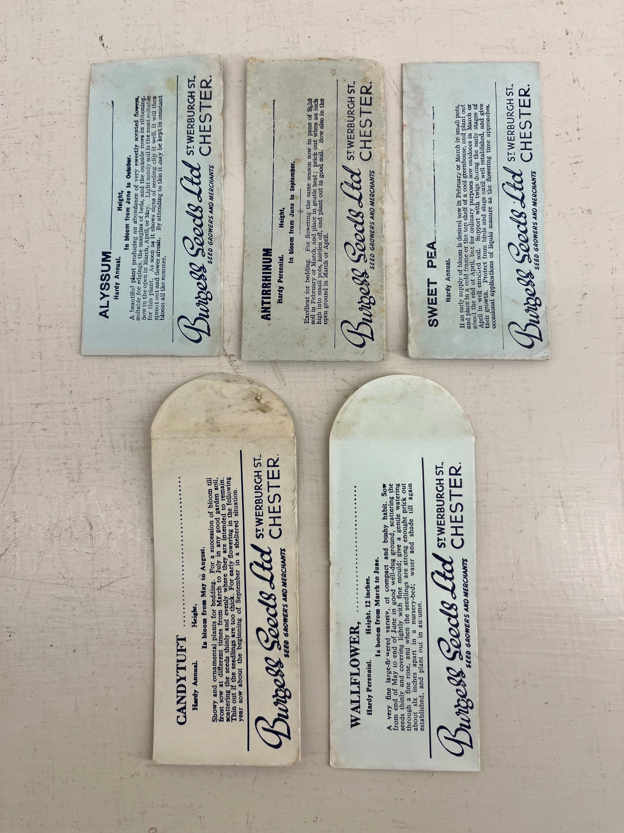 Vintage Burgess Seed Packets