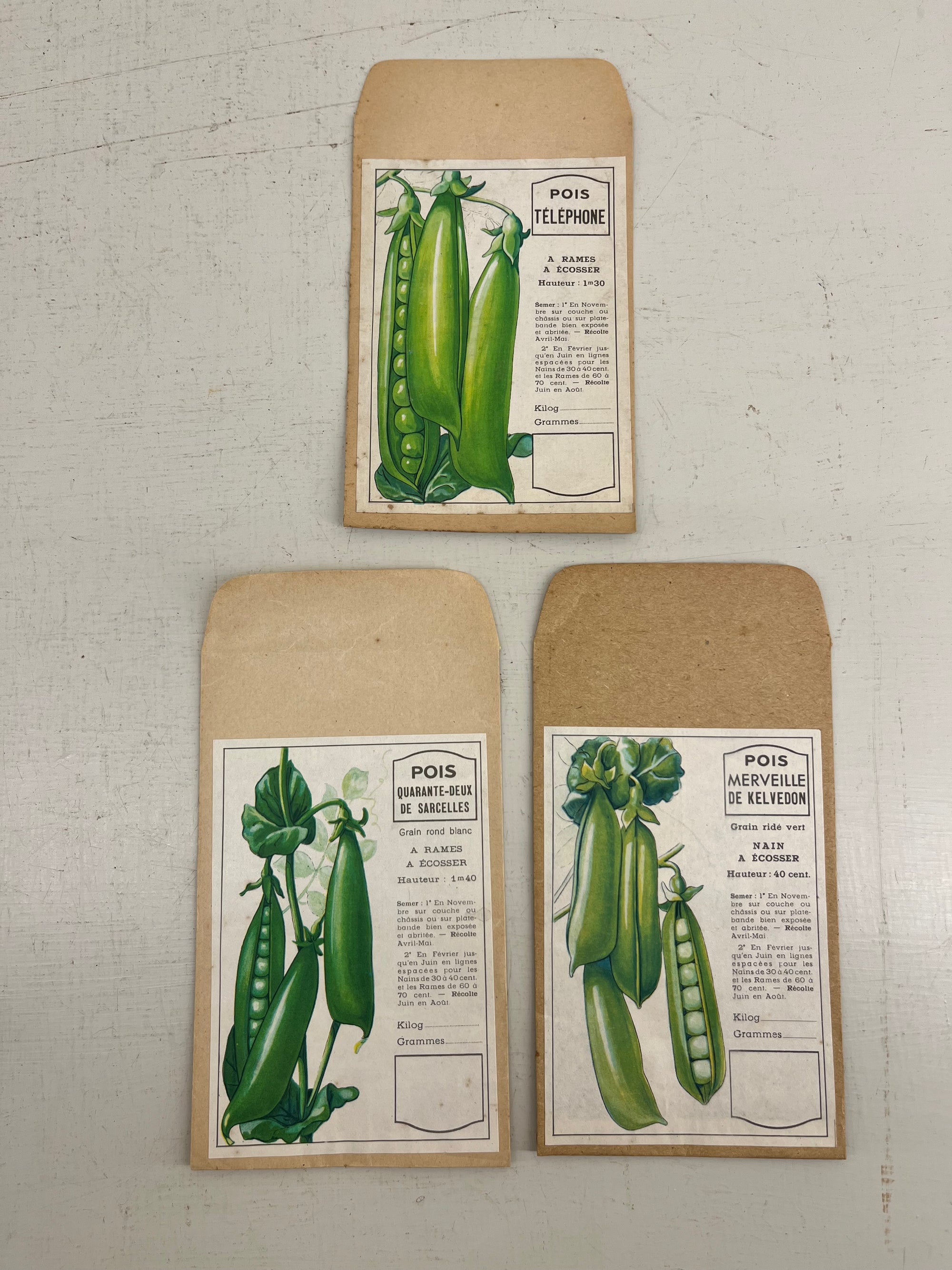 Set of French Pea Seed Packets