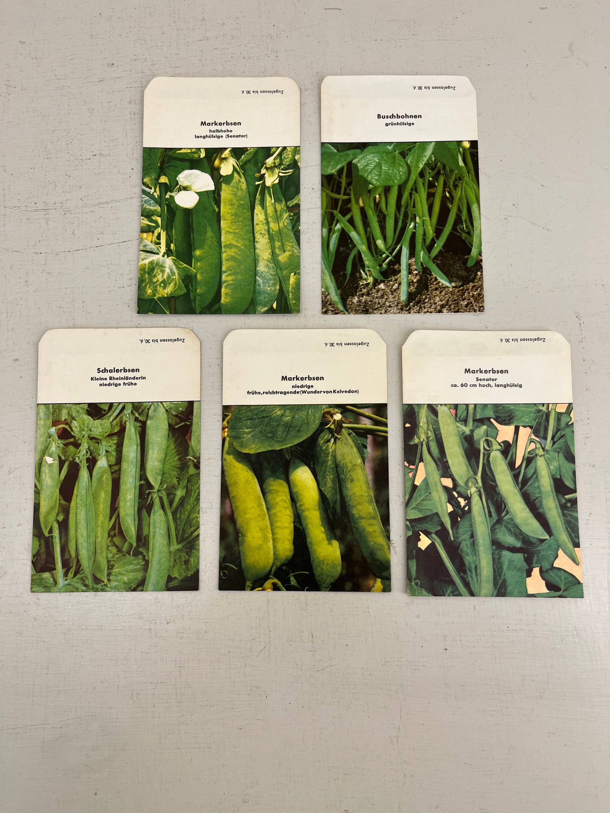 Set of German Pea Seed Packets