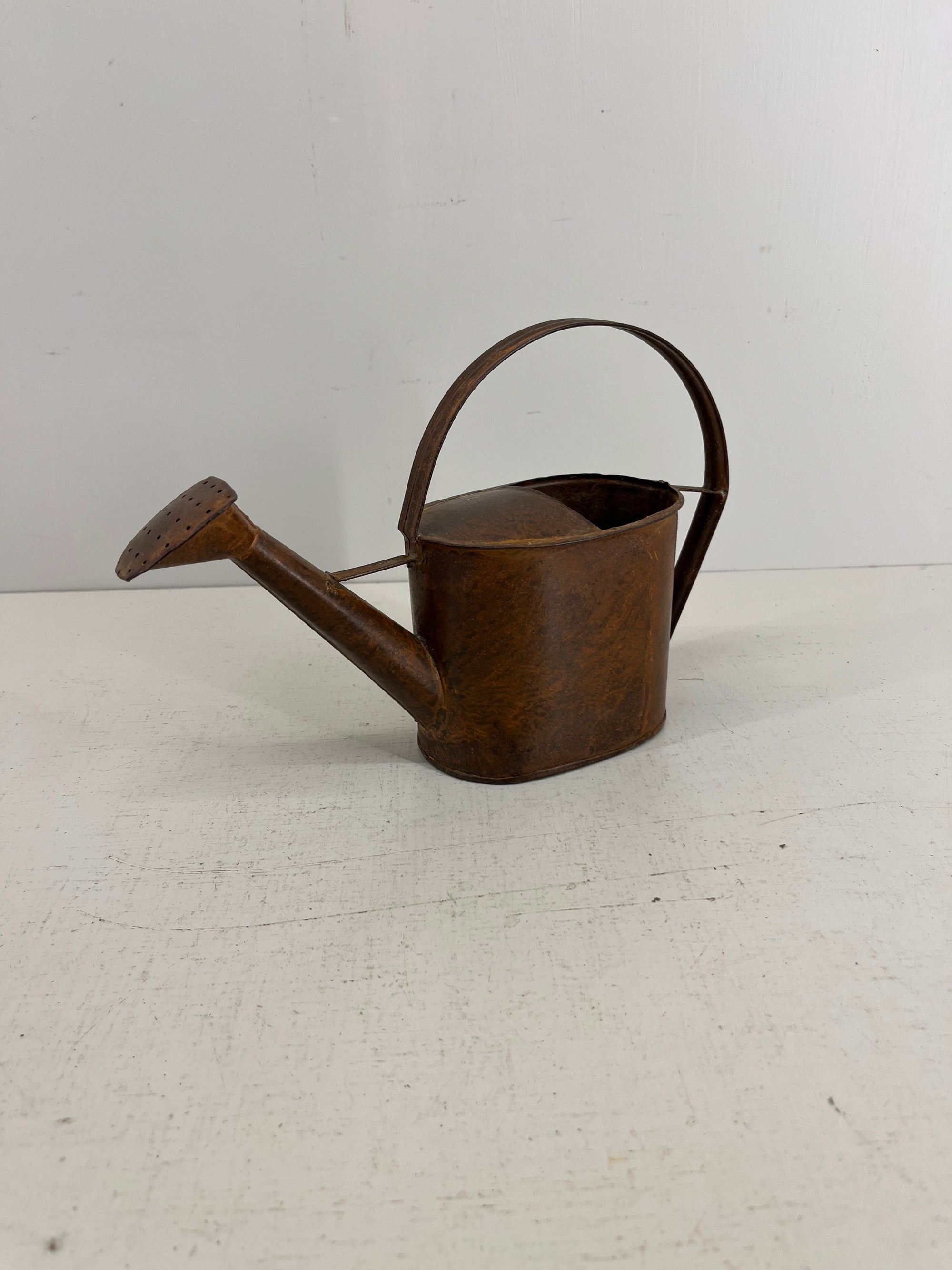 Tiny Watering Can