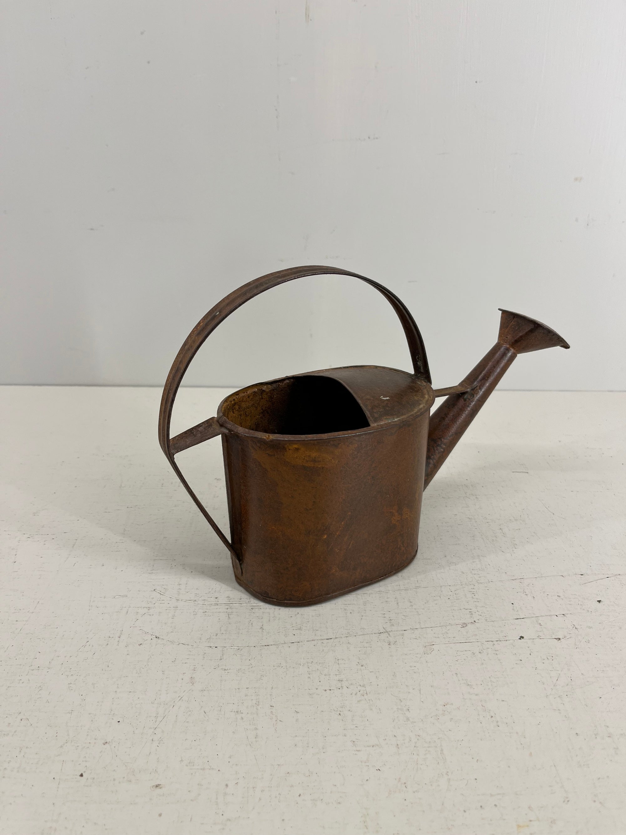 Tiny Watering Can